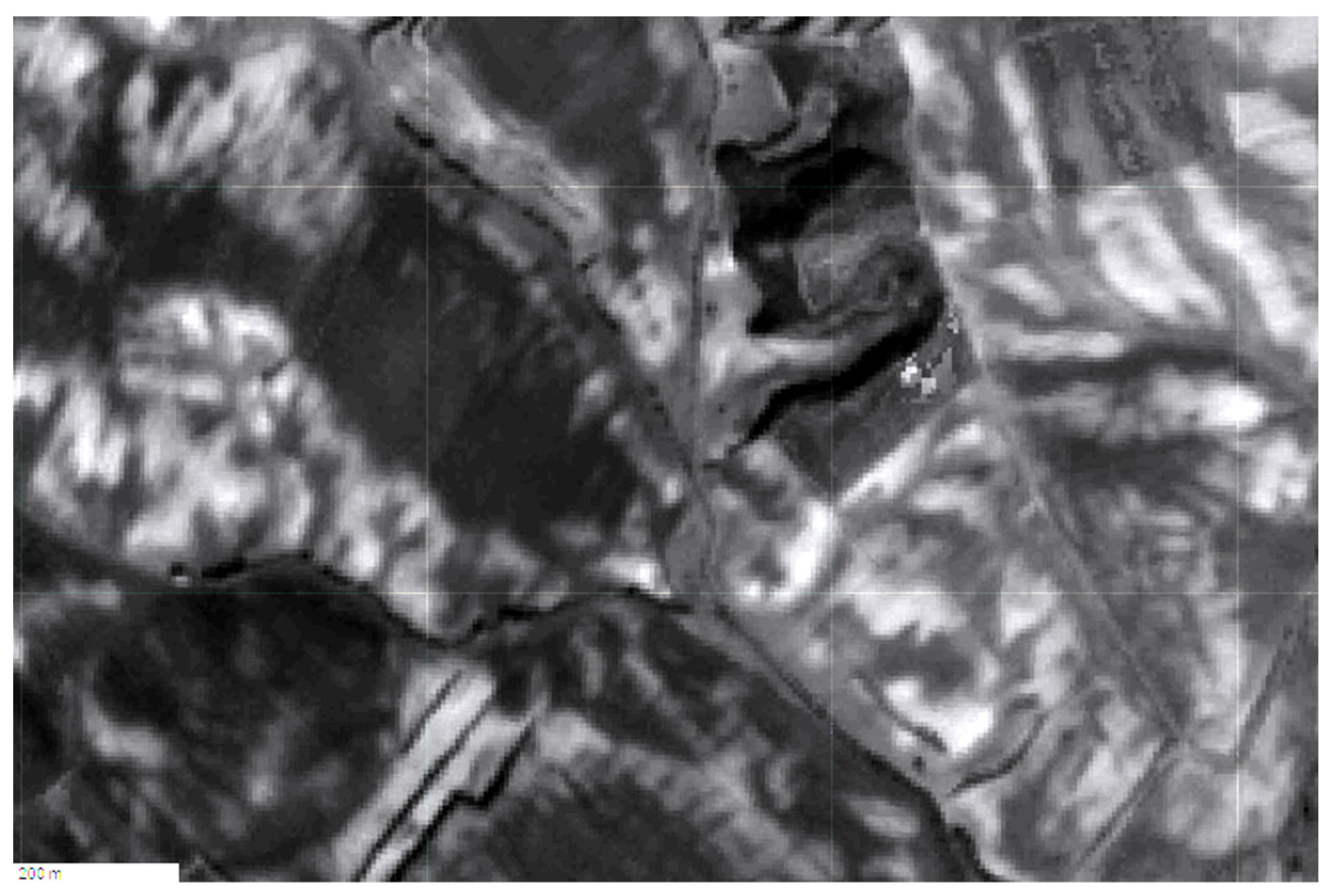 Agronomy 11 02216 g004