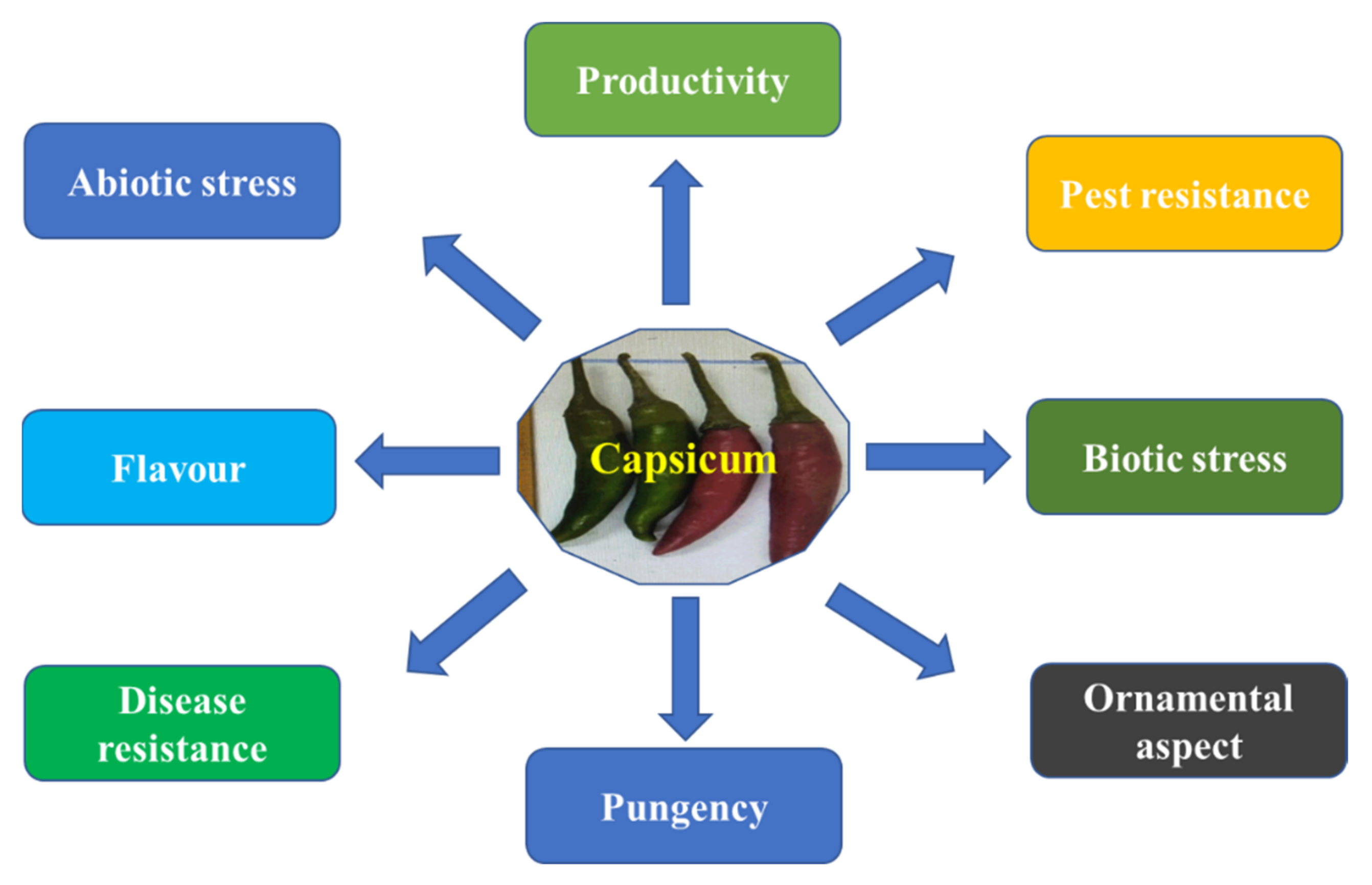 Agronomy 11 02217 g004