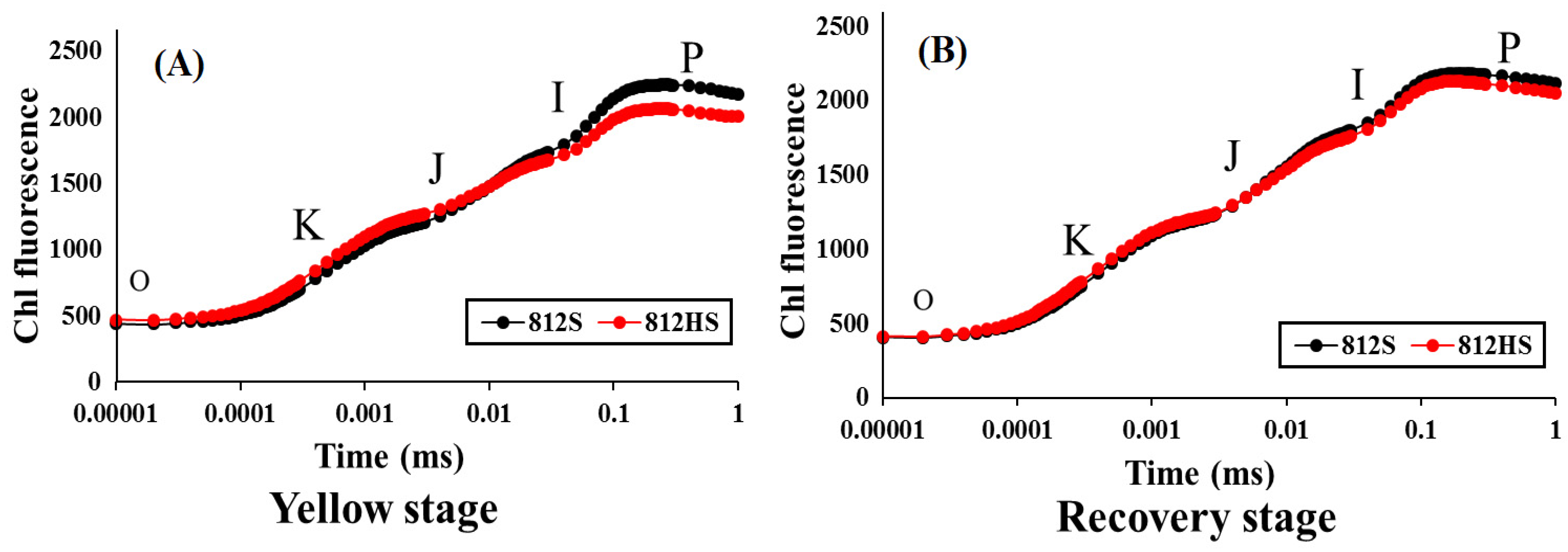 Agronomy 11 02225 g004