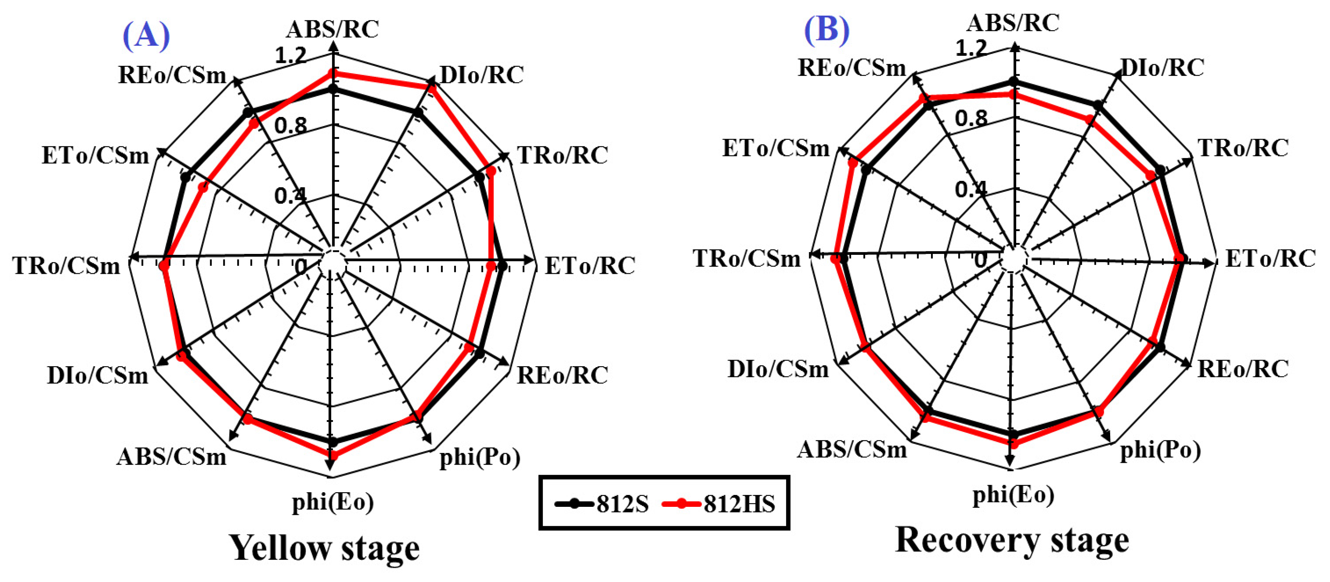 Agronomy 11 02225 g005