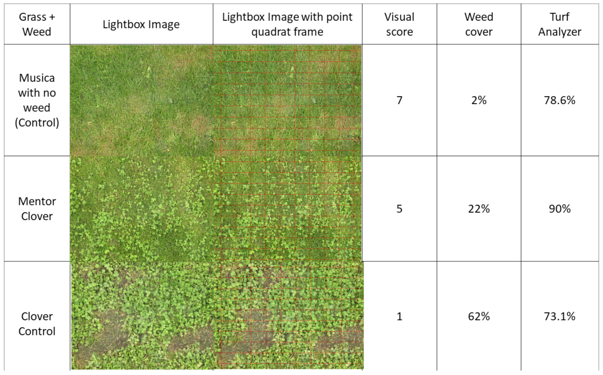 Agronomy Free FullText Assessing Competitiveness of Fine Fescues