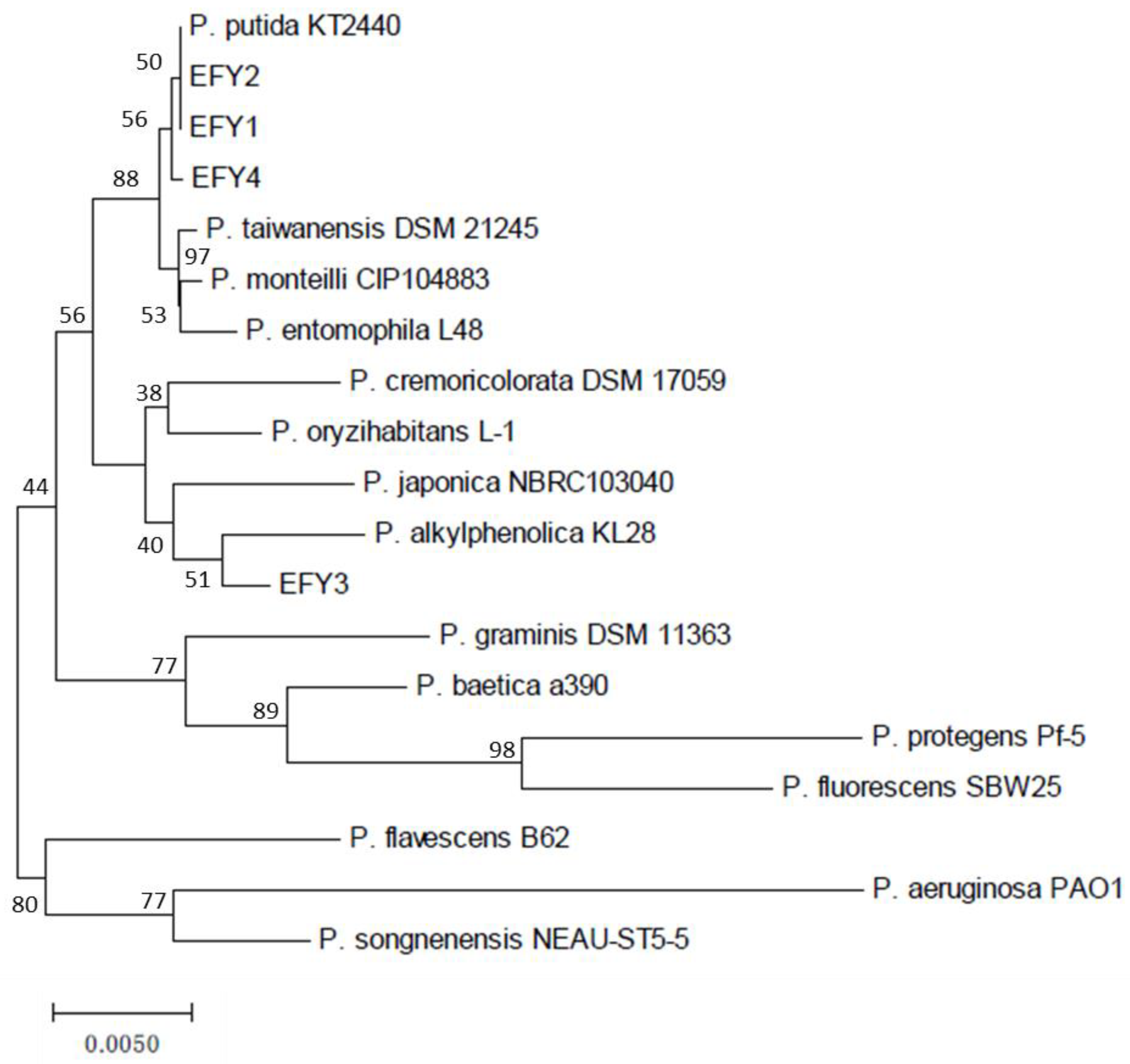 Agronomy 11 02236 g001