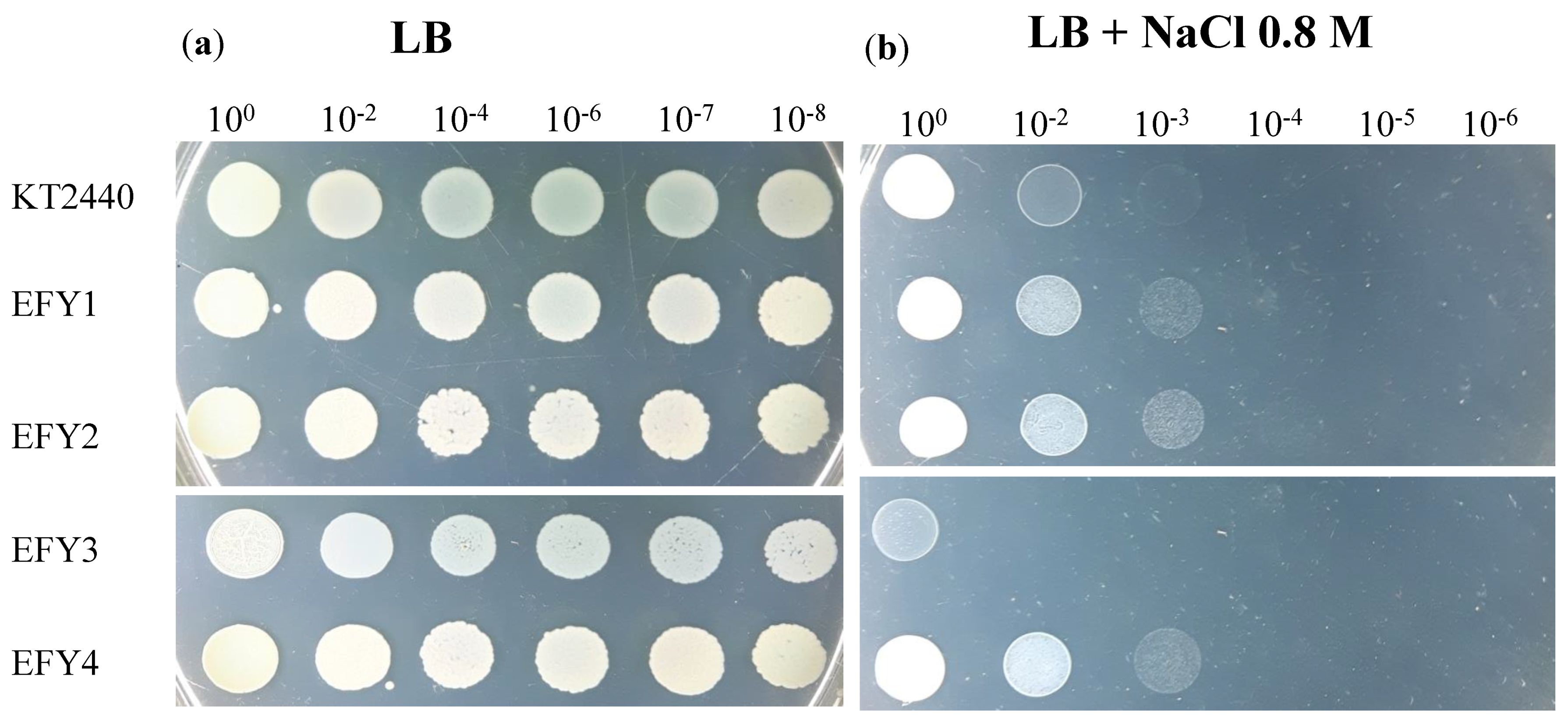 Agronomy 11 02236 g002