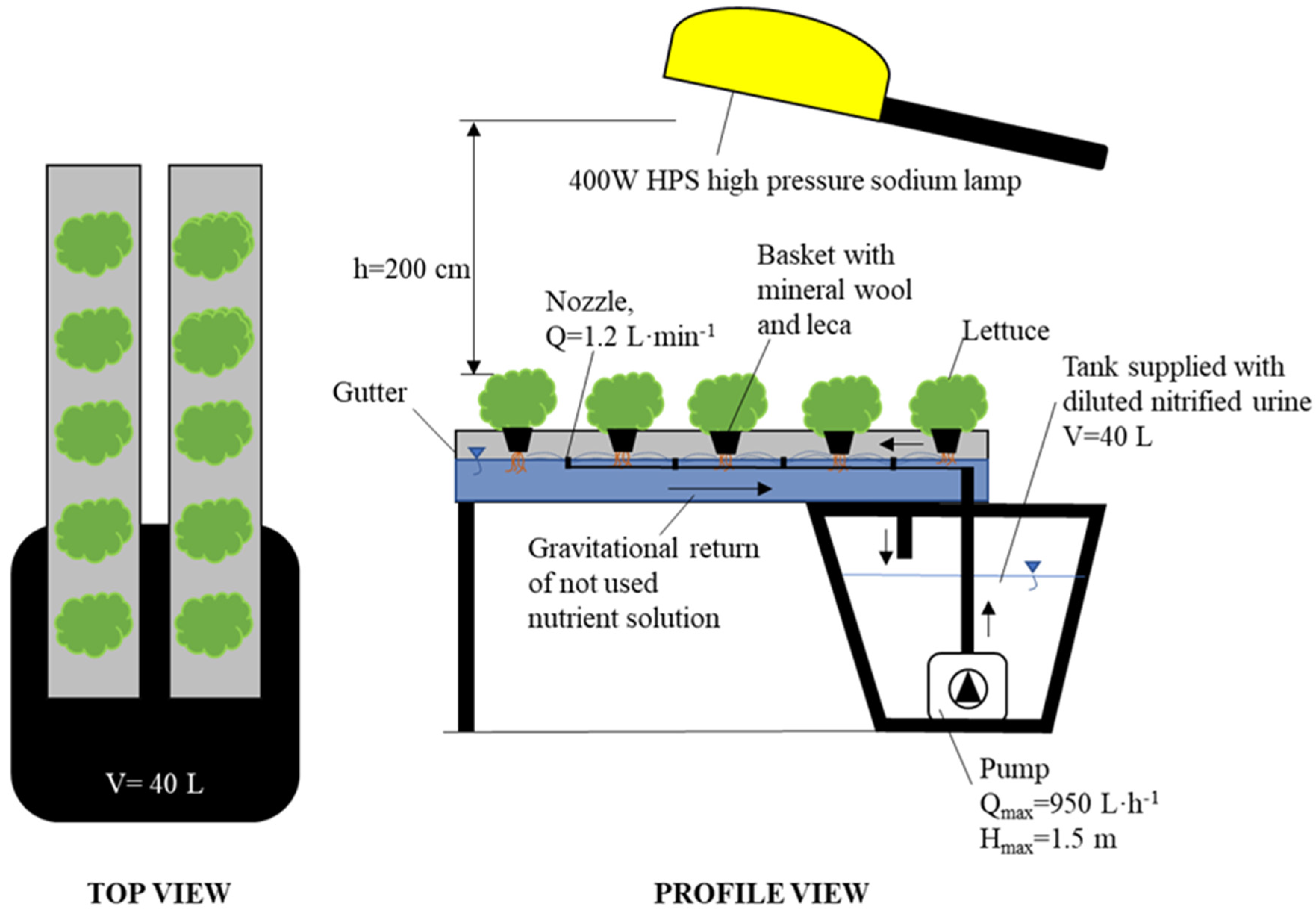 Agronomy 11 02242 g002