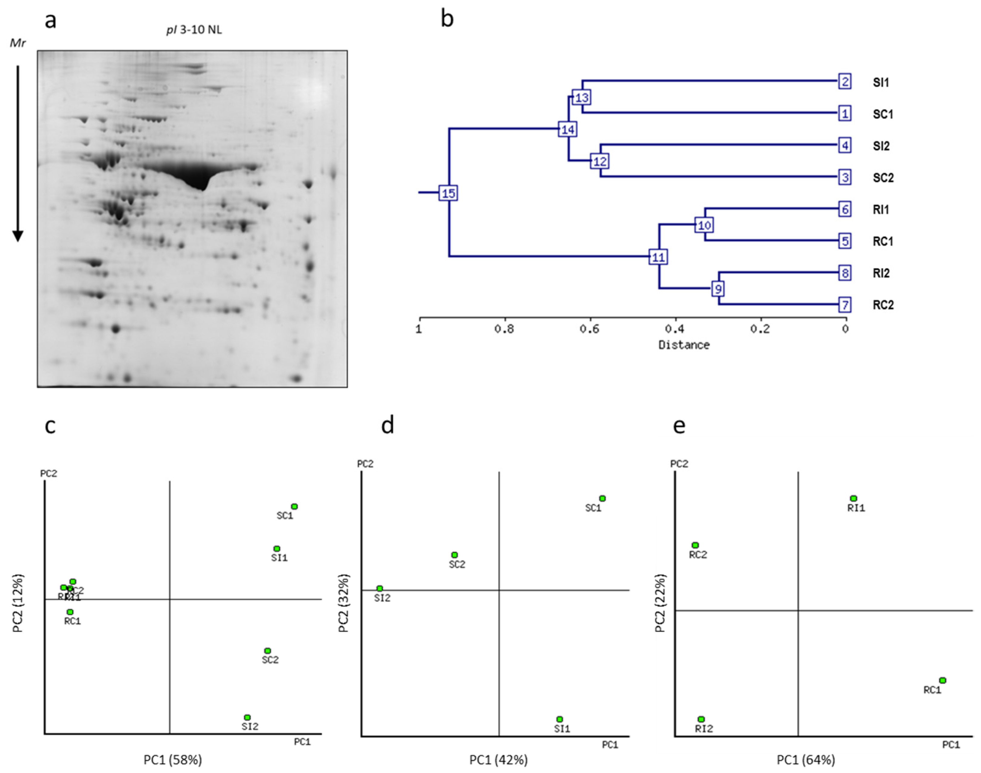 Agronomy 11 02247 g002