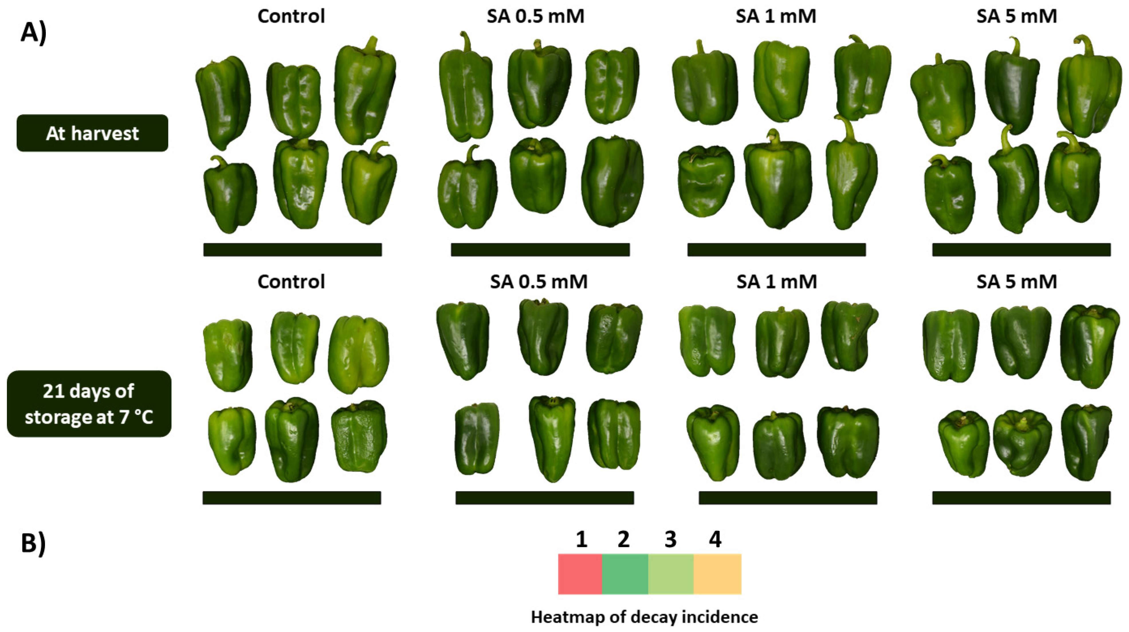 Agronomy 11 02263 g004 Agronomy 11 02263 g004