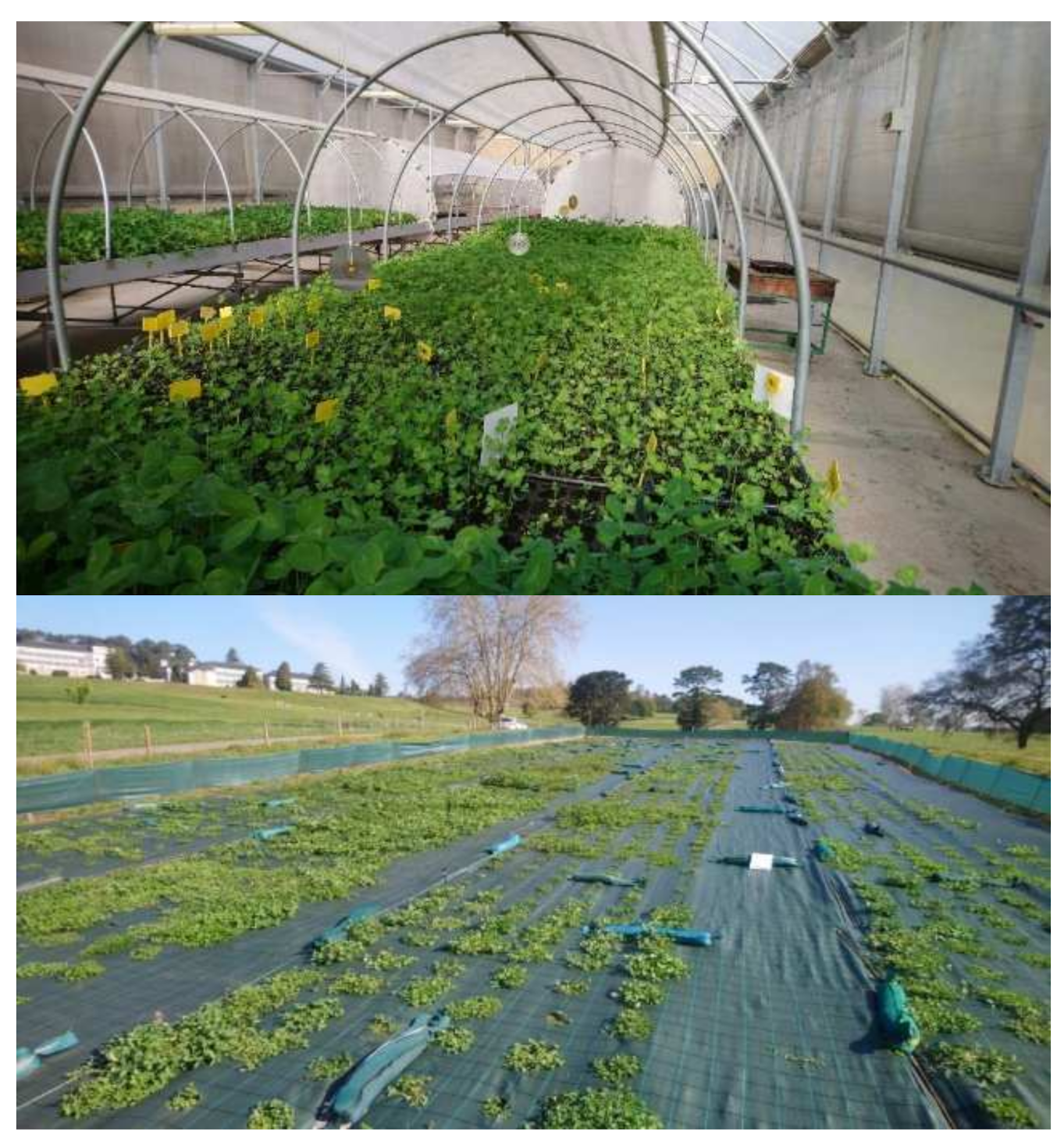 Agronomy 11 02275 g001 550