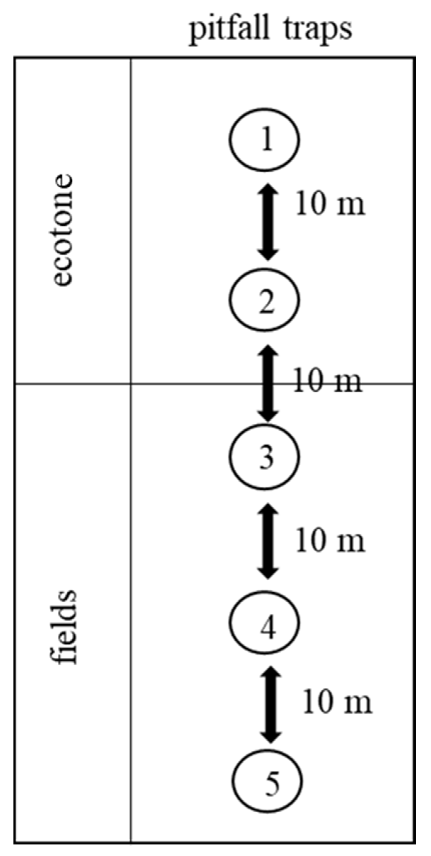 Agronomy 11 02276 g002