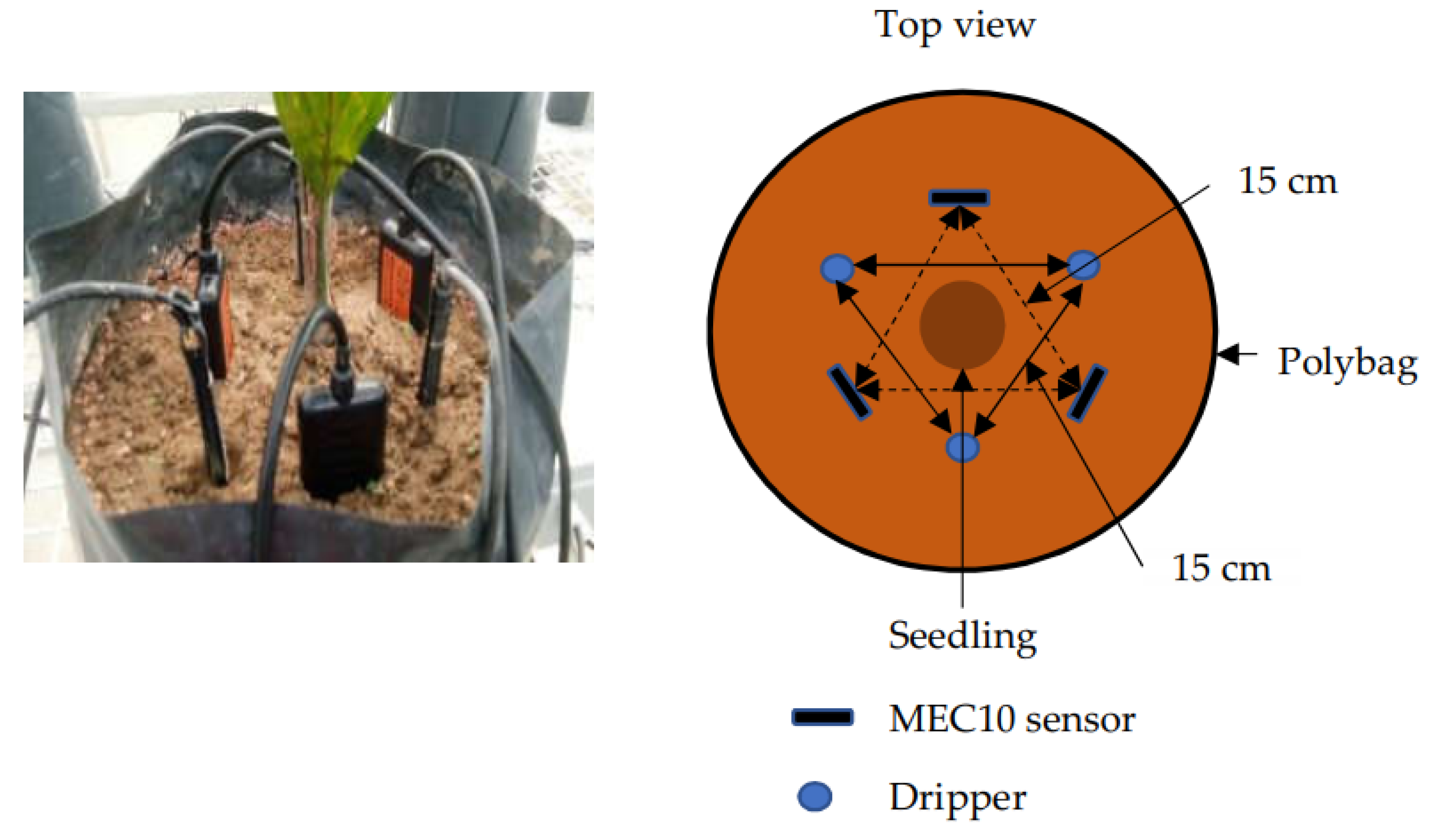 Agronomy 11 02279 g002