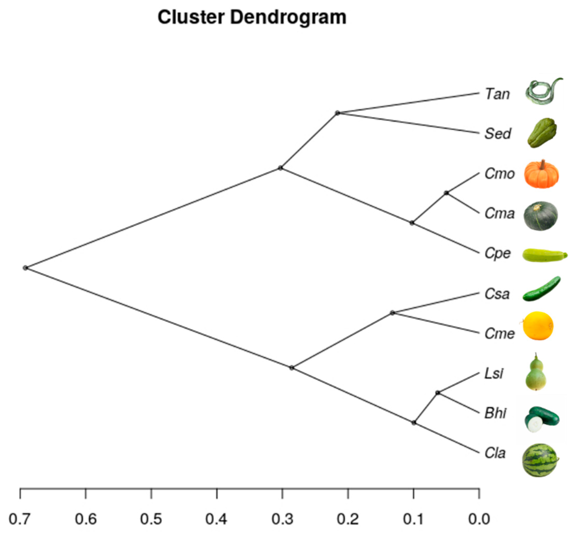 Agronomy 11 02289 g010