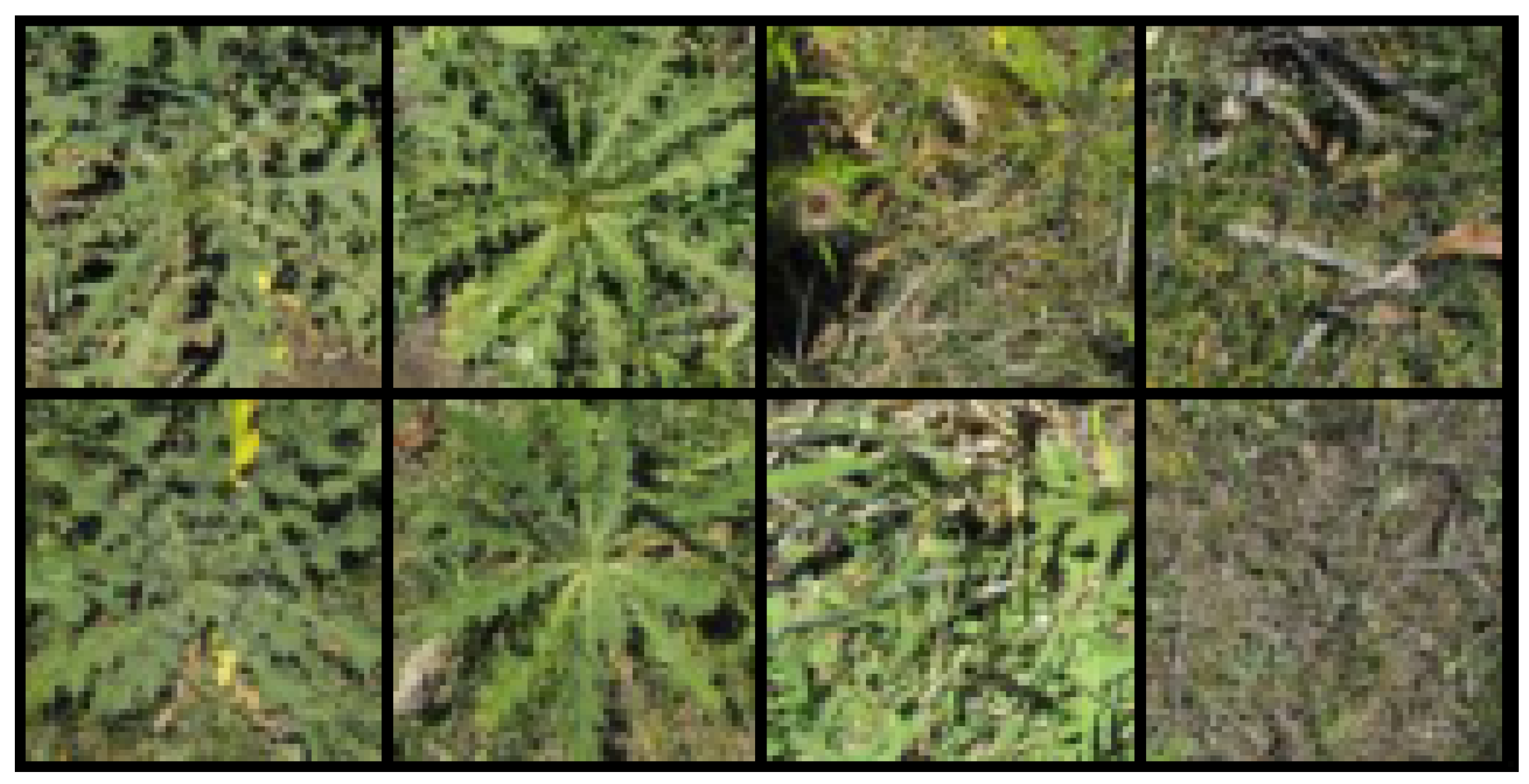 Agronomy 11 02290 g003 550