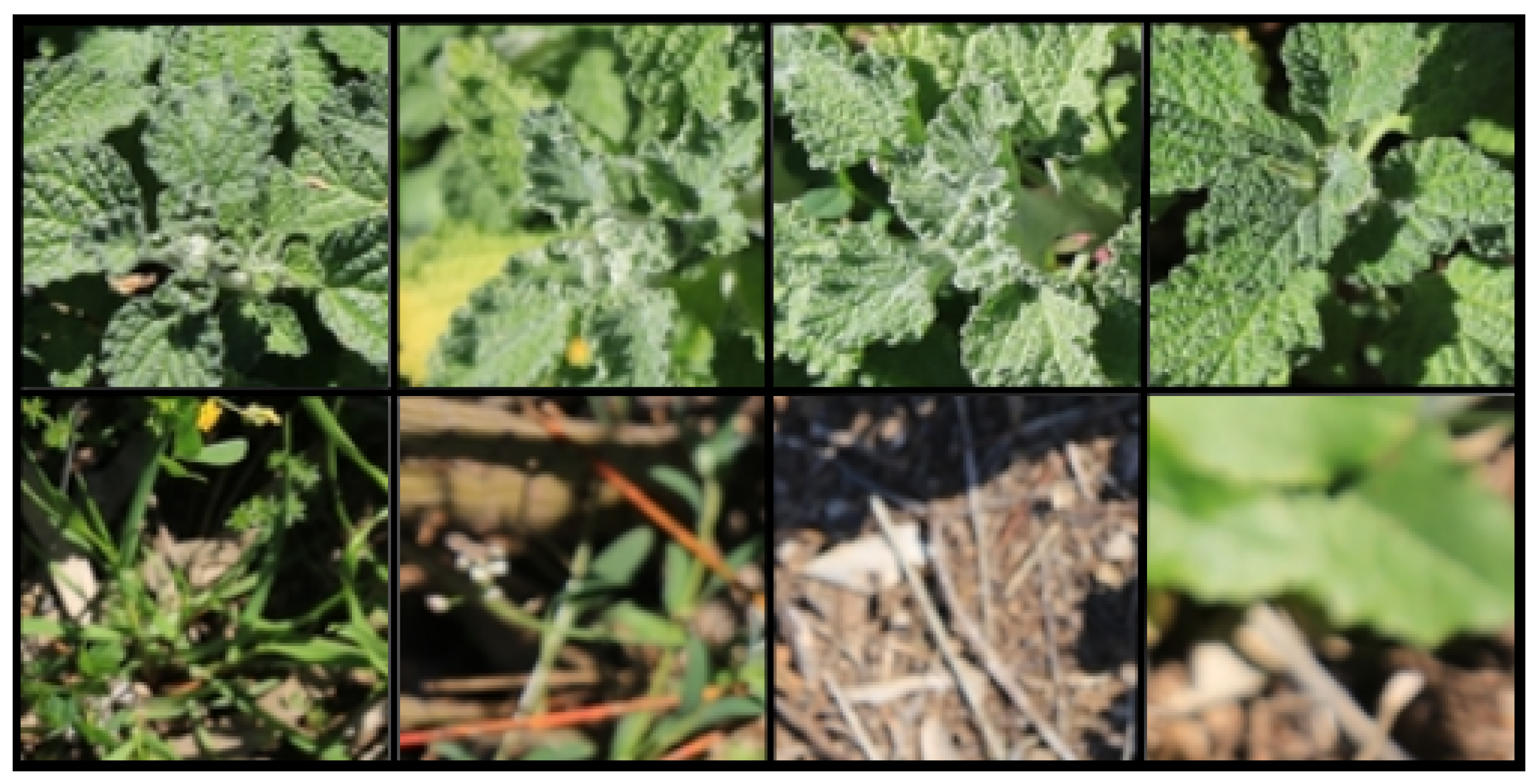 Agronomy 11 02290 g004 550