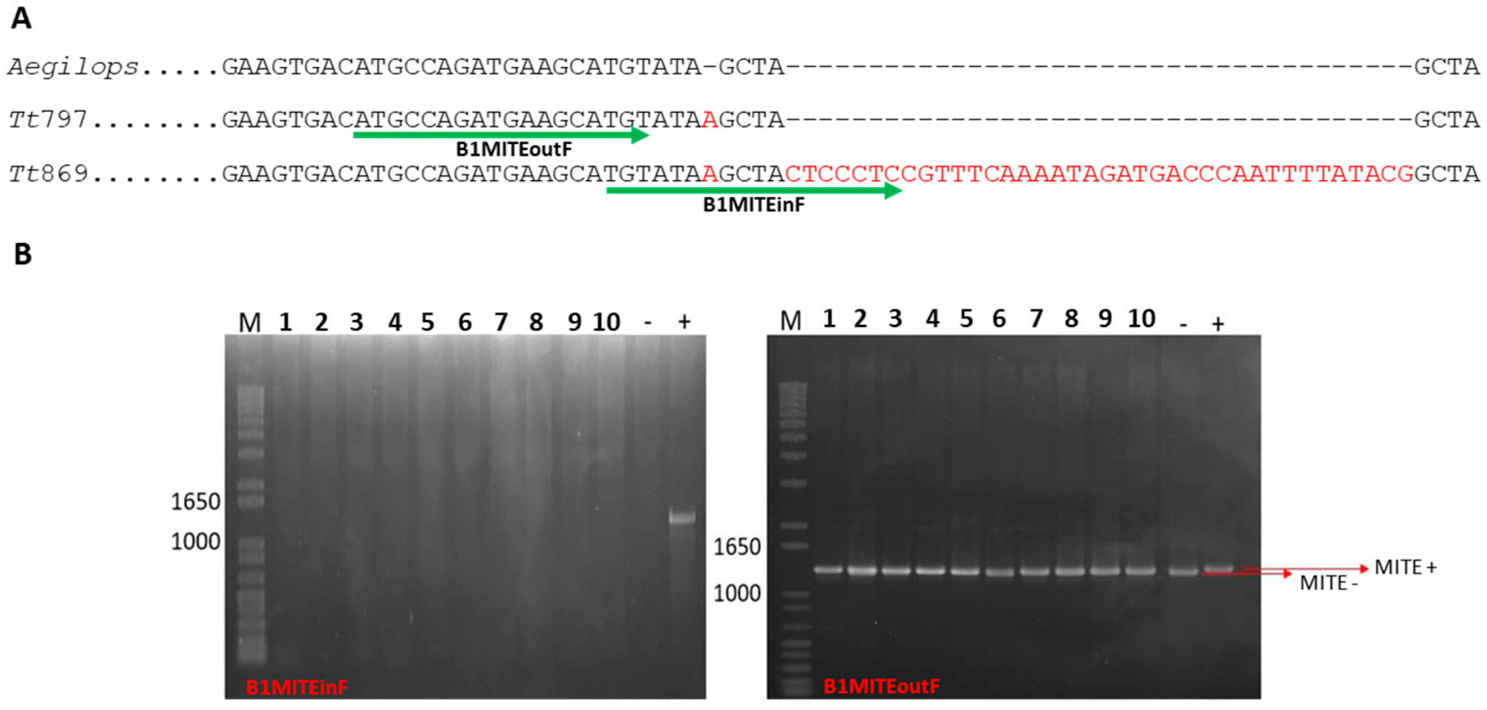 Agronomy 11 02294 g003
