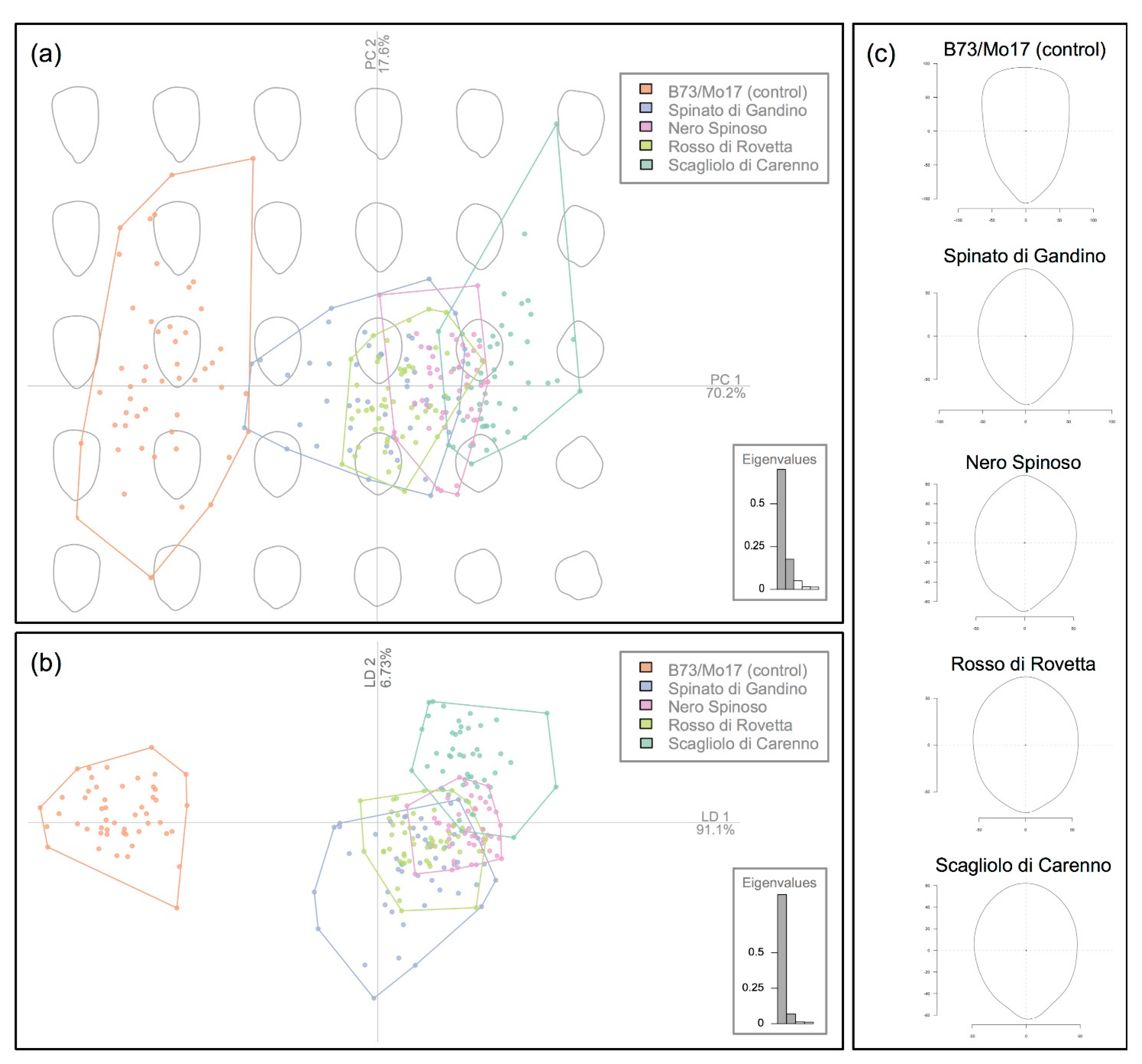 Agronomy 11 02295 g002 Agronomy 11 02295 g002