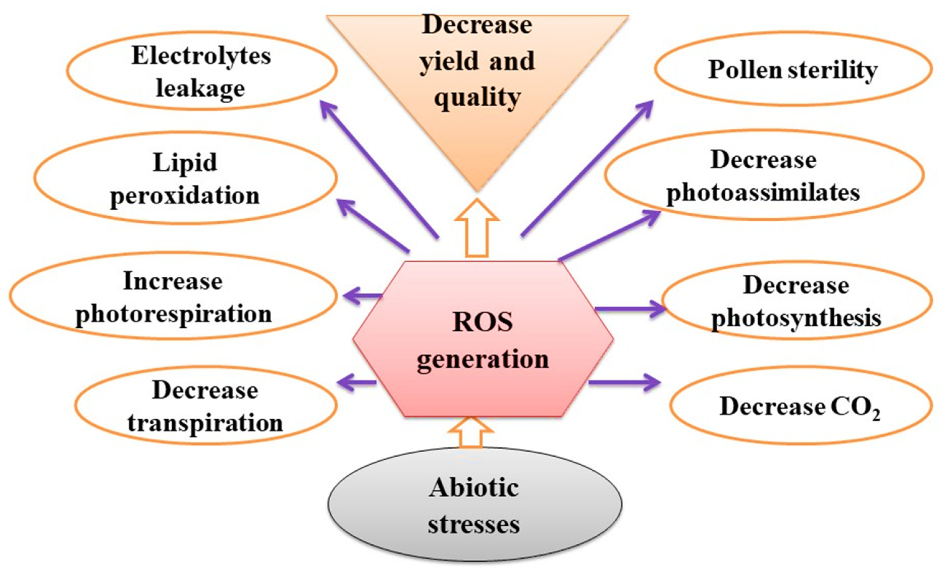 Agronomy 11 02299 g001 Agronomy 11 02299 g001