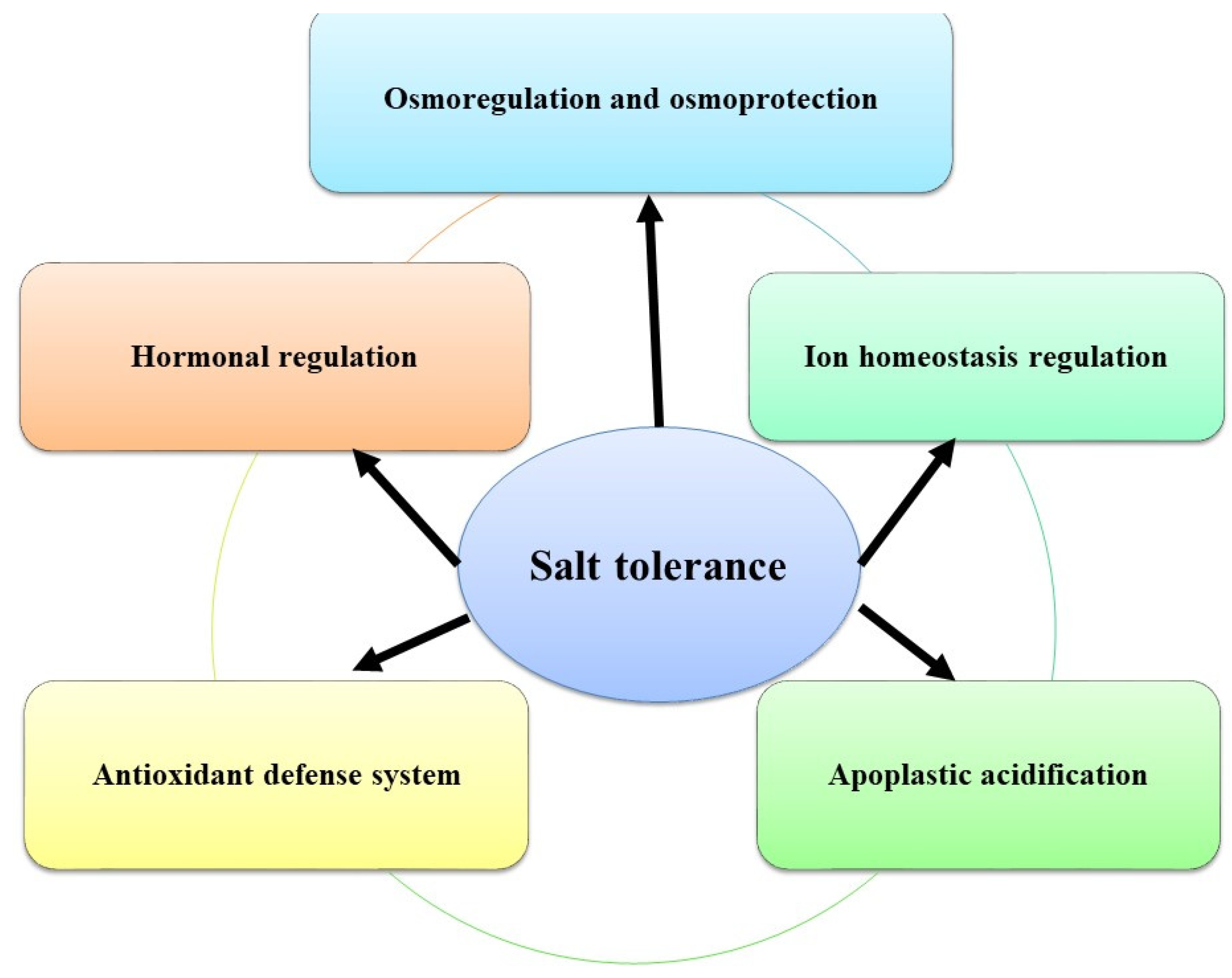 Agronomy 11 02299 g005 Agronomy 11 02299 g005