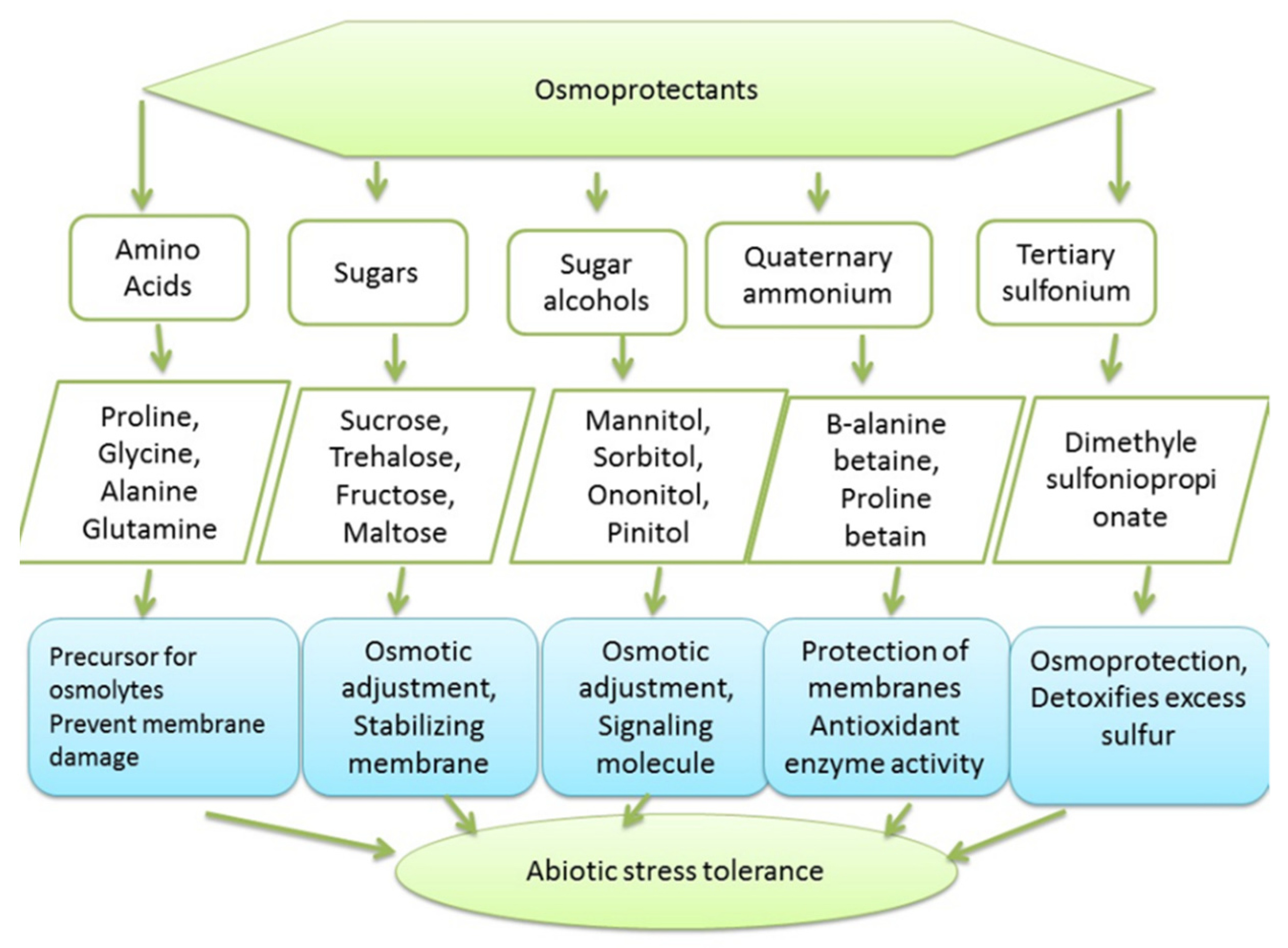 Agronomy 11 02299 g006 Agronomy 11 02299 g006