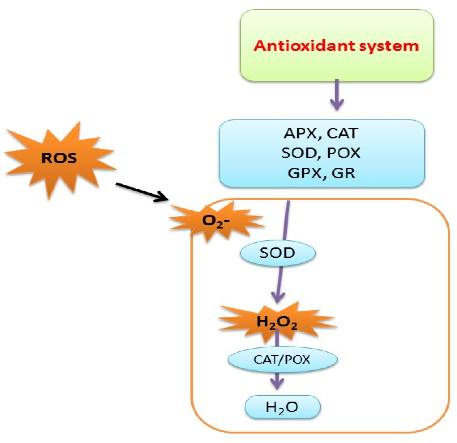 Agronomy 11 02299 g007 Agronomy 11 02299 g007
