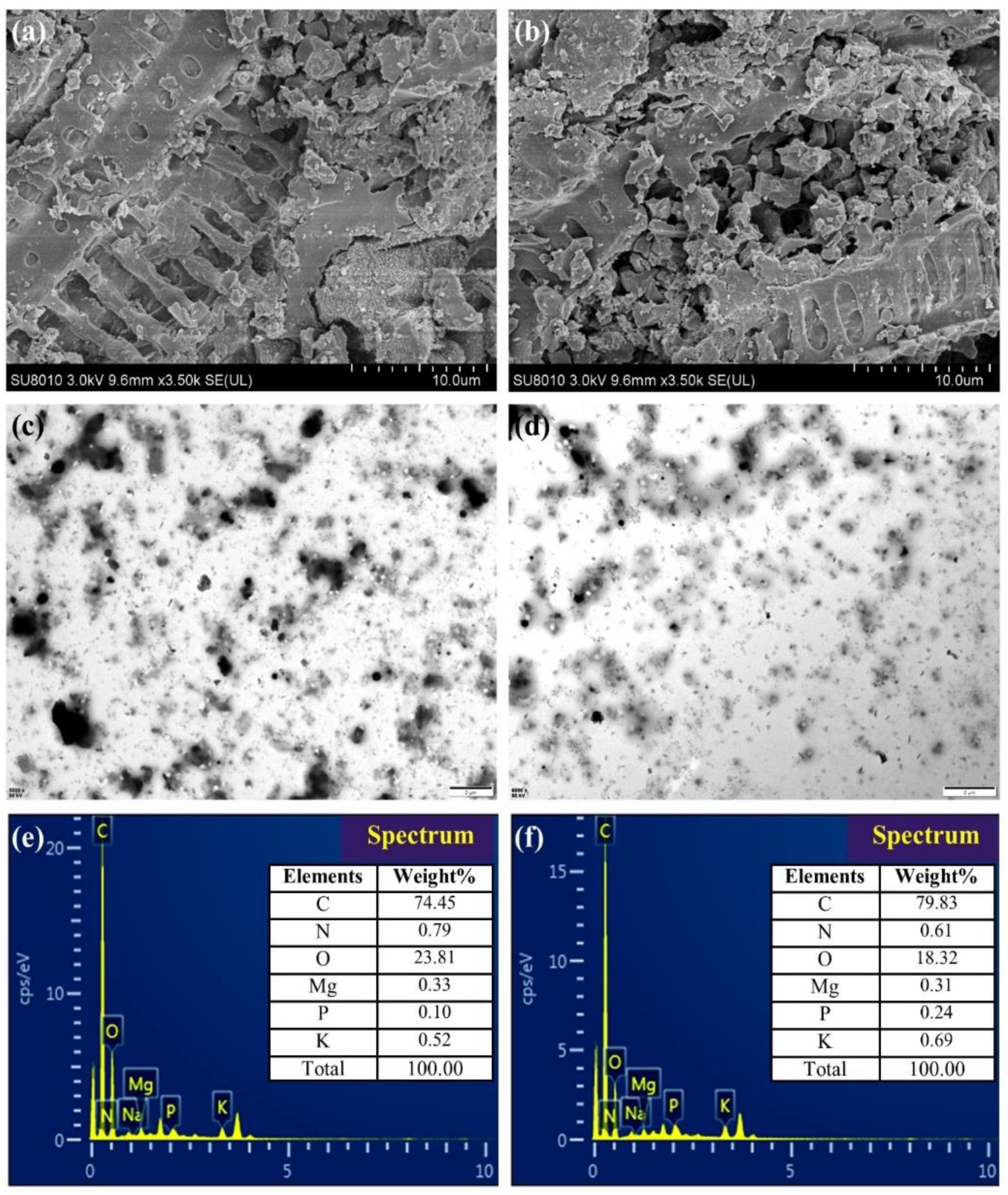 Agronomy 11 02300 g001