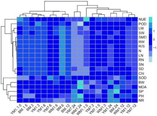バーチャルビューティ 2020 BMW S1000RR 2020 2021 S 1000RR Cylinder Head Valve Engine Cover