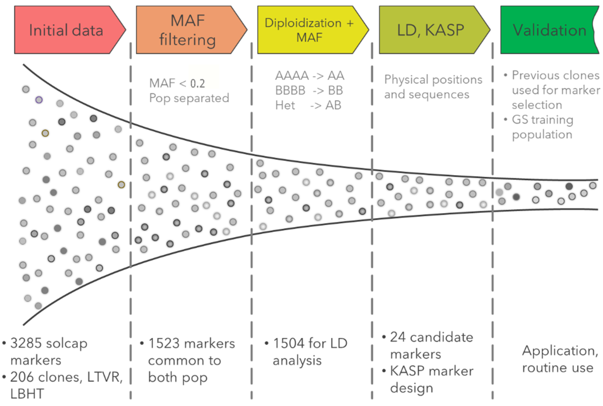 Agronomy 11 02315 g002