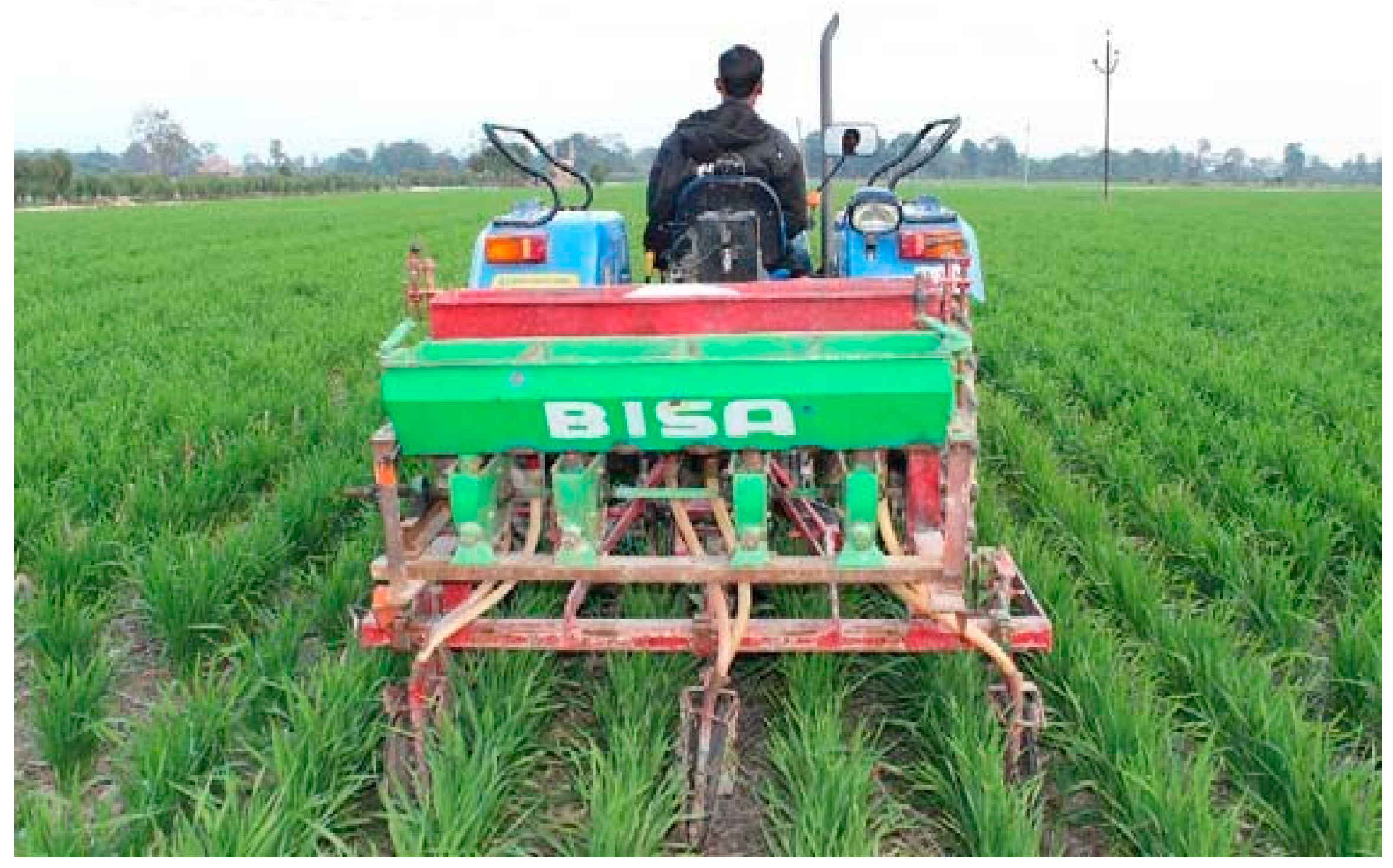 Agronomy 11 02320 g002