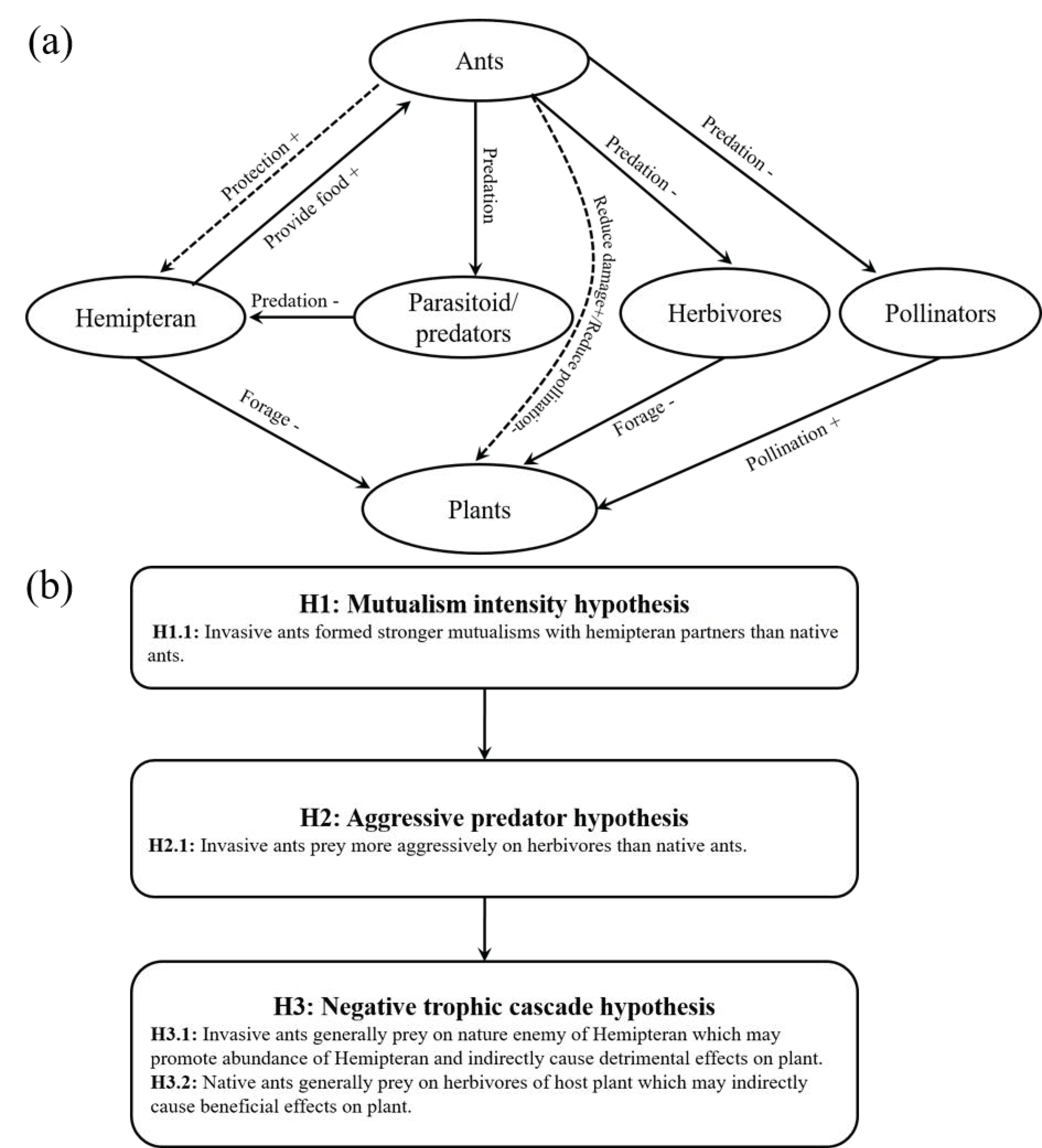 Agronomy 11 02323 g001 Agronomy 11 02323 g001