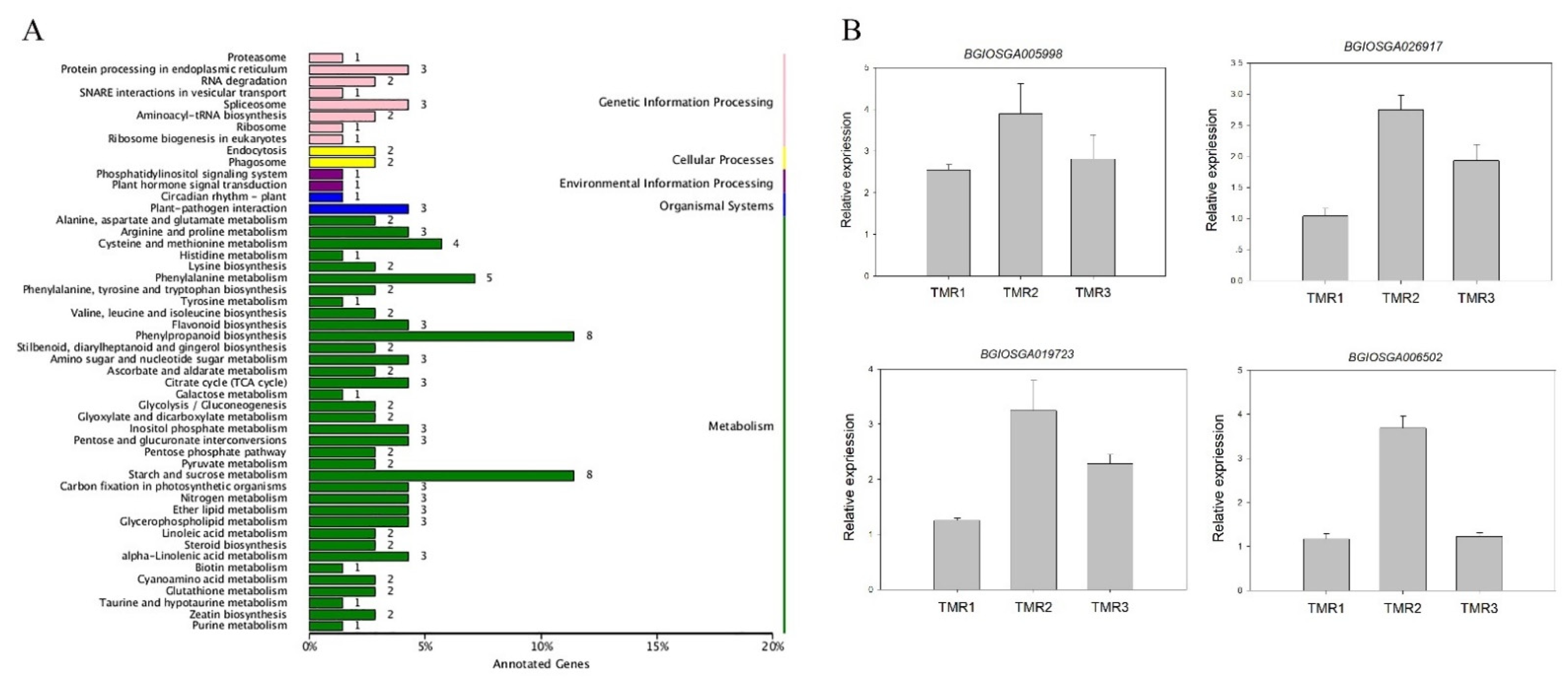 Agronomy 11 02327 g004