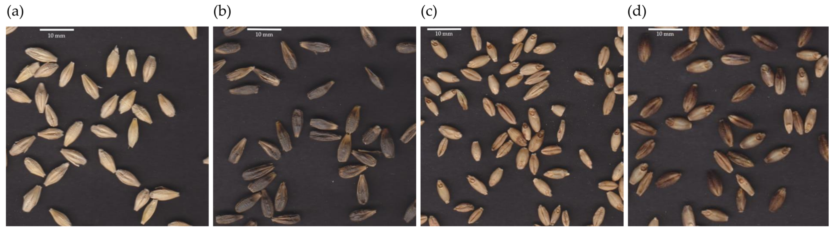 Agronomy 11 02330 g002