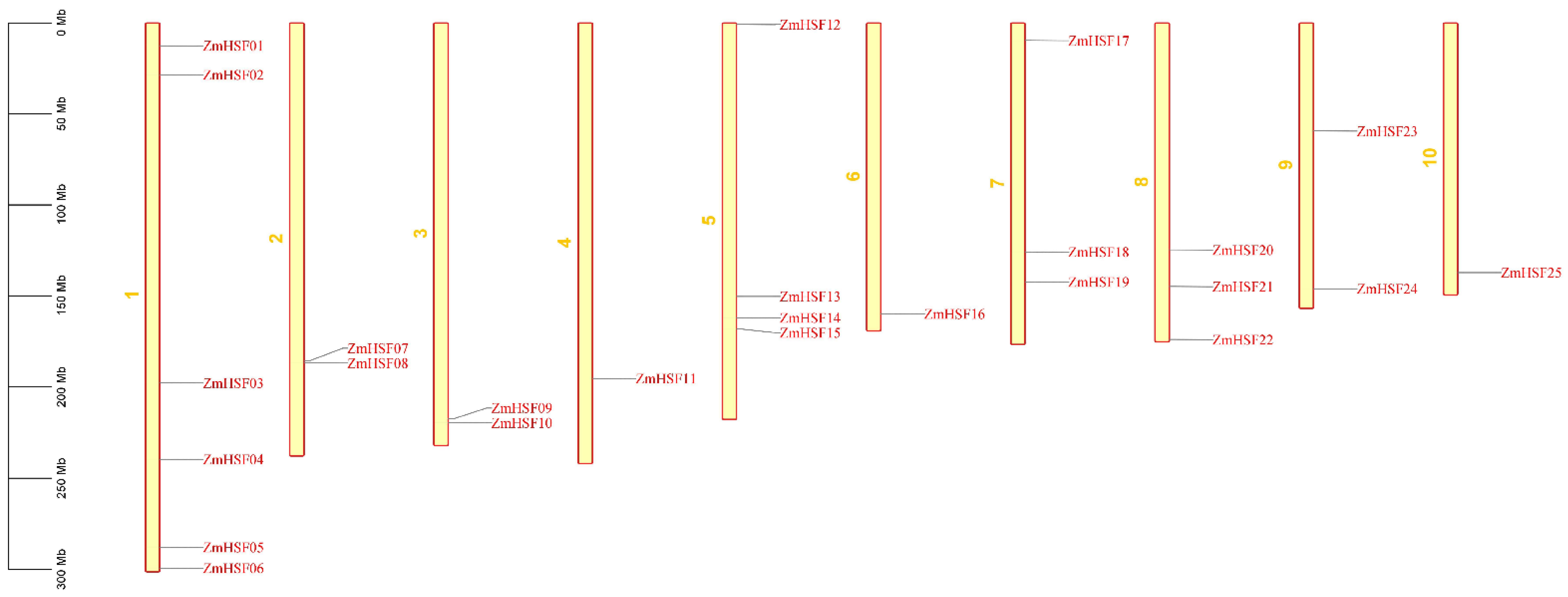 Agronomy 11 02335 g001