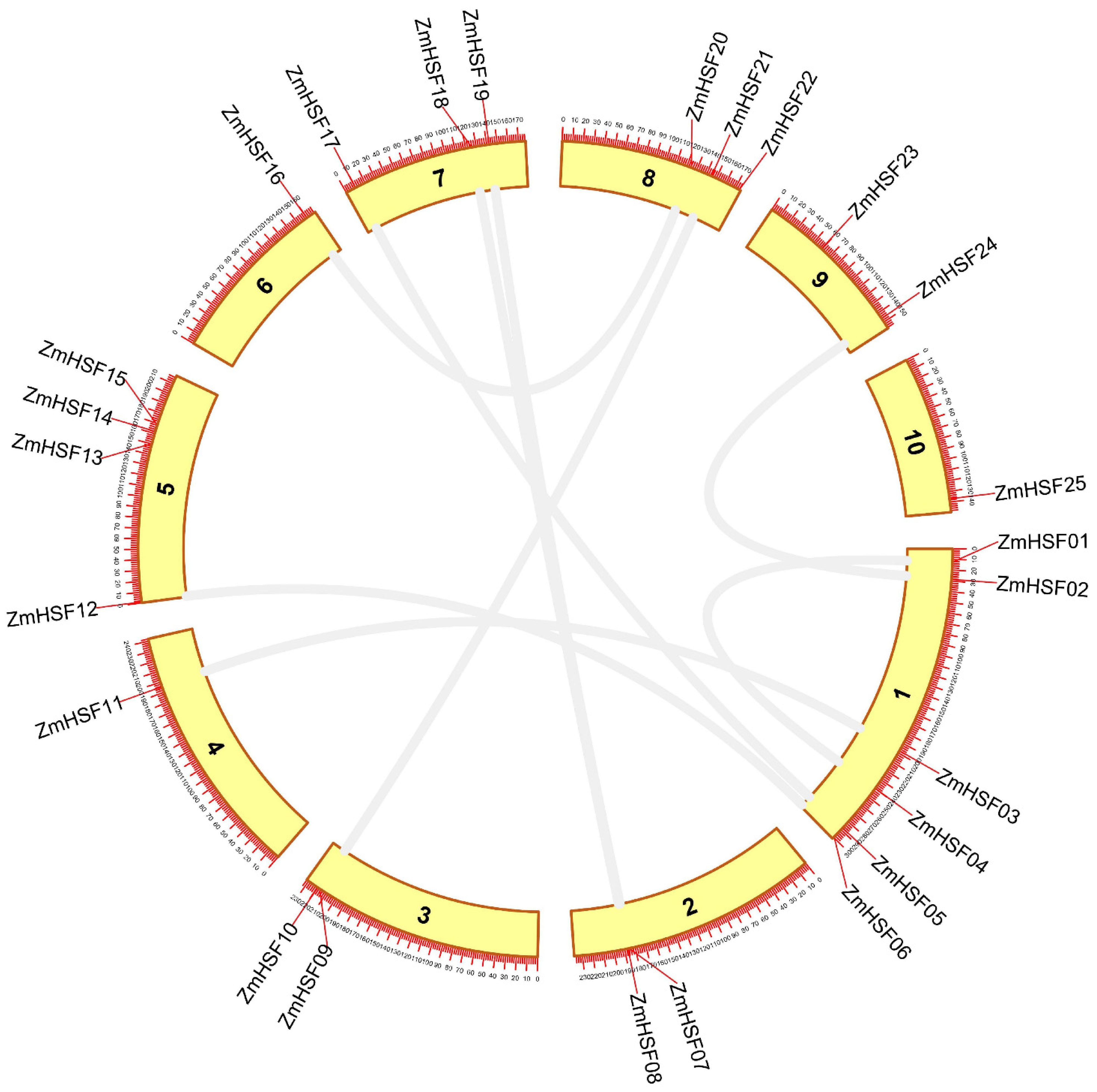 Agronomy 11 02335 g003