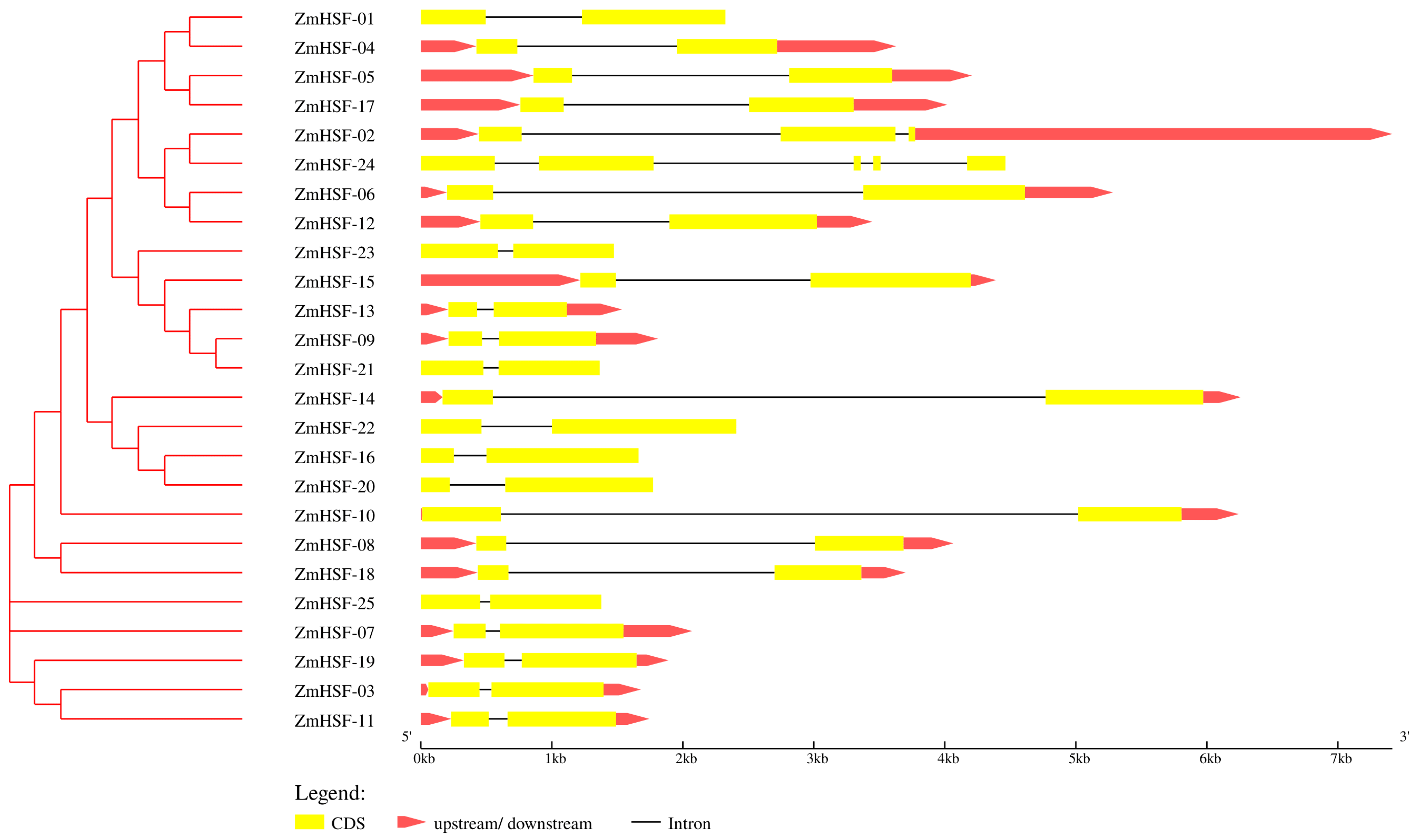 Agronomy 11 02335 g004