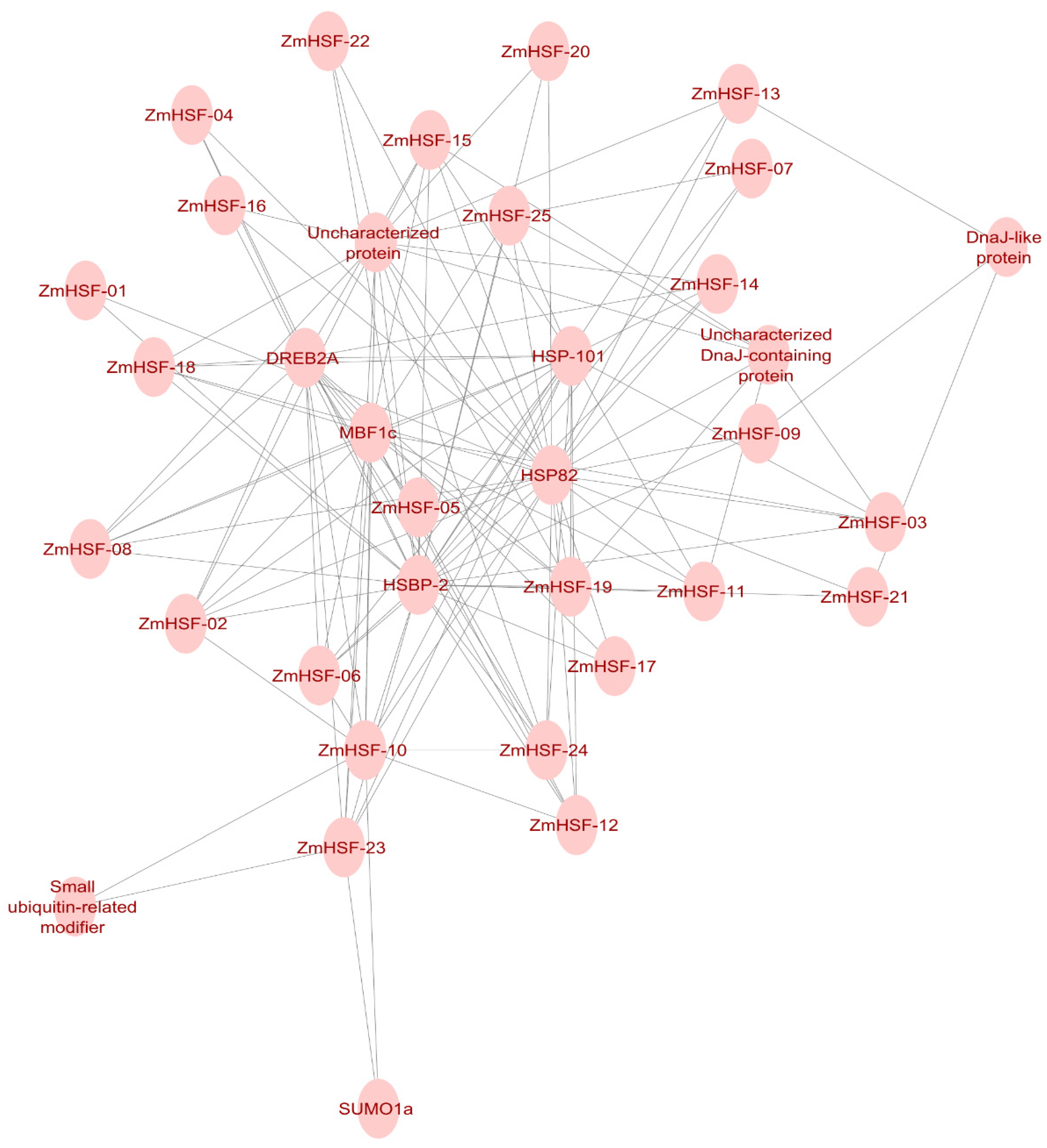 Agronomy 11 02335 g012