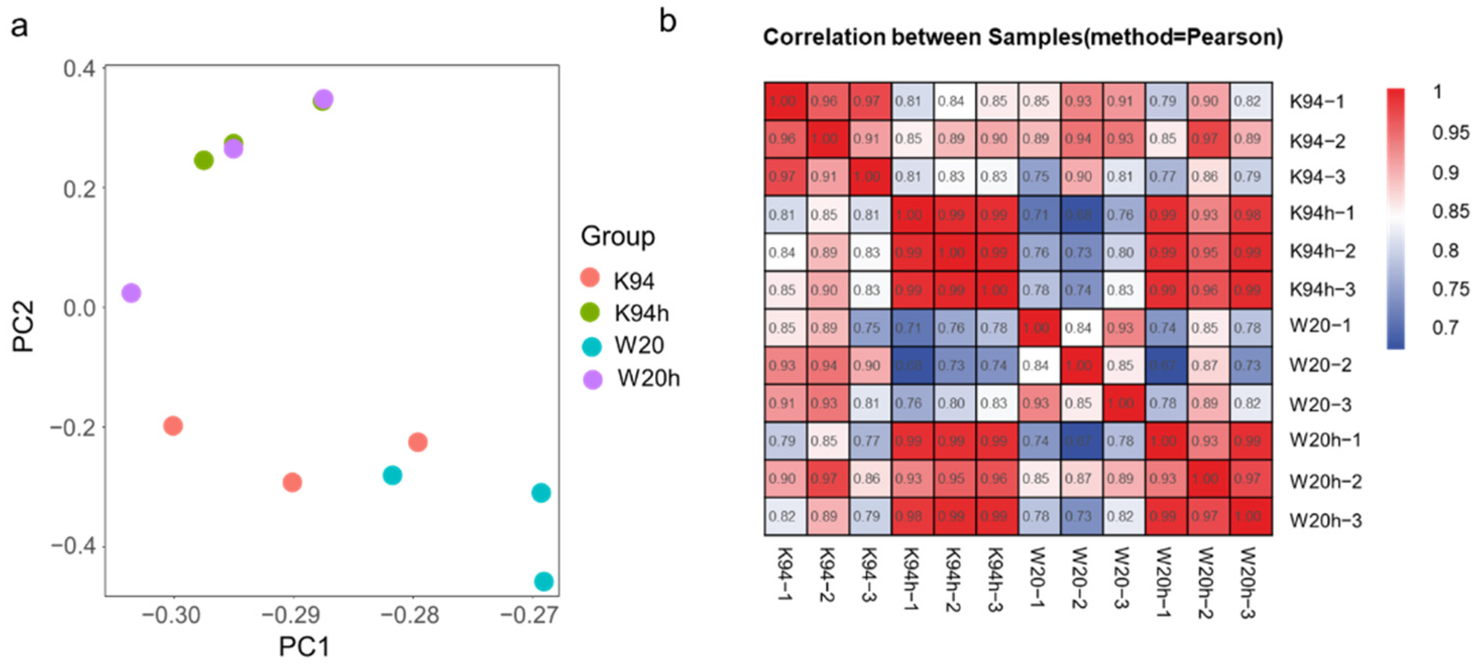 Agronomy 11 02338 g002
