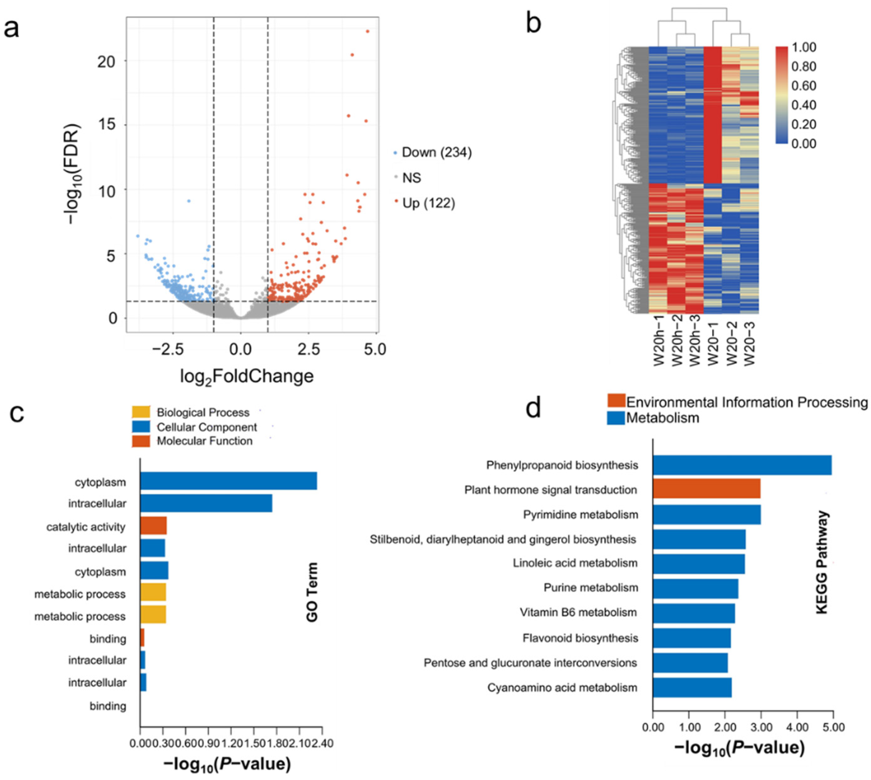 Agronomy 11 02338 g007