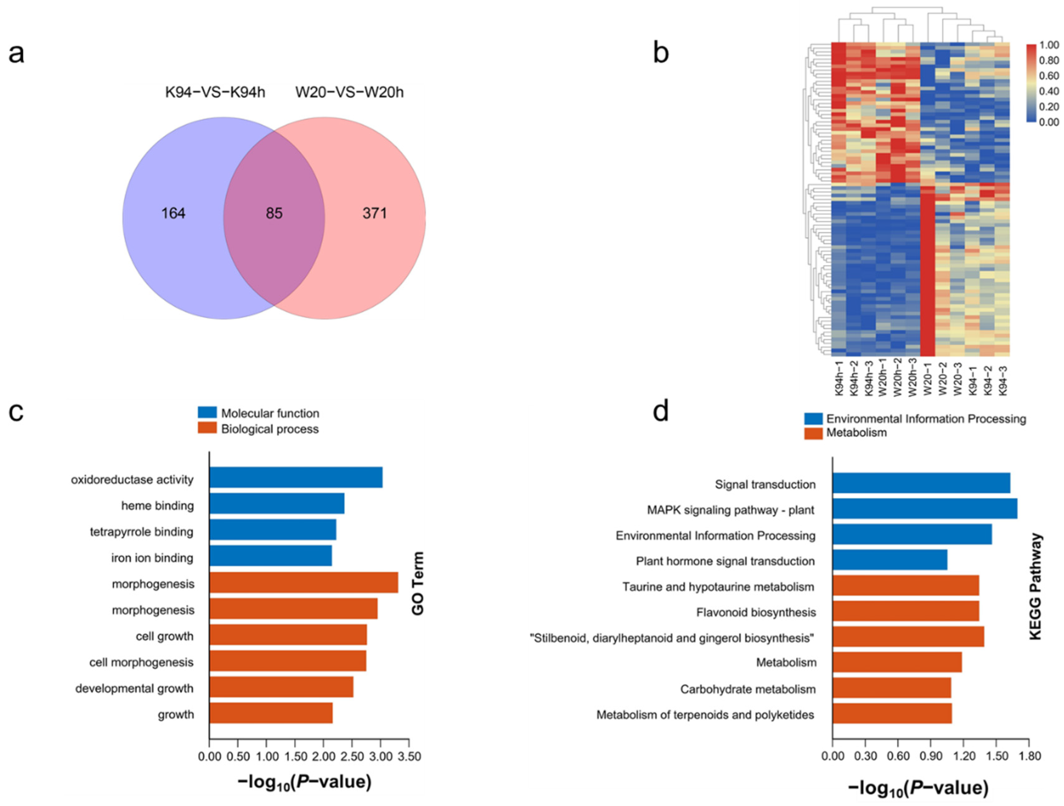 Agronomy 11 02338 g009