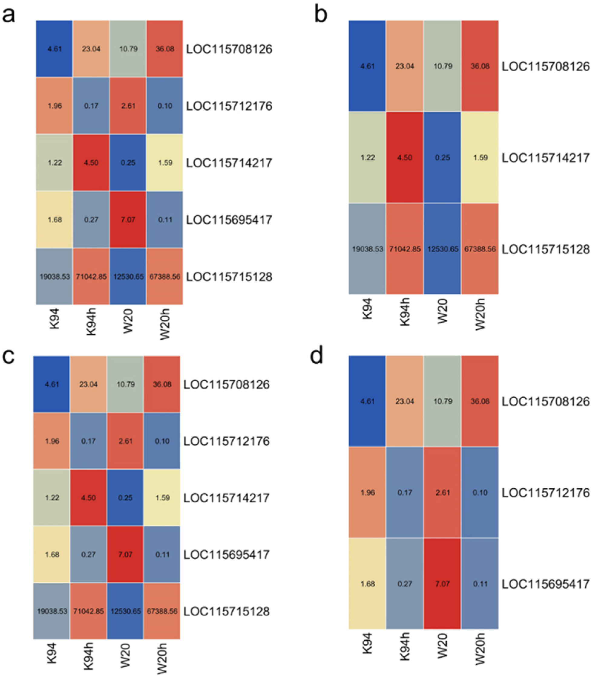 Agronomy 11 02338 g010