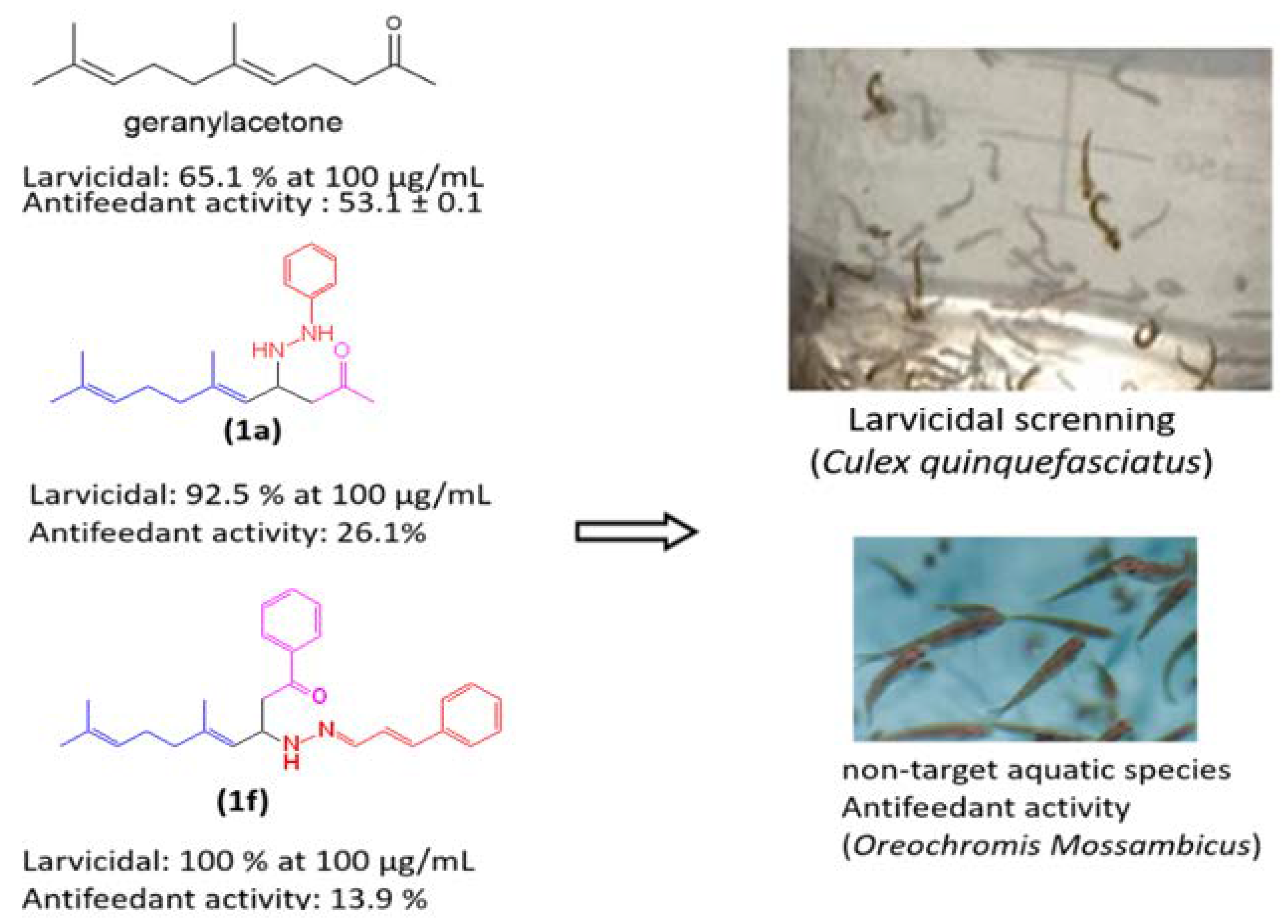 Agronomy 11 02342 g002