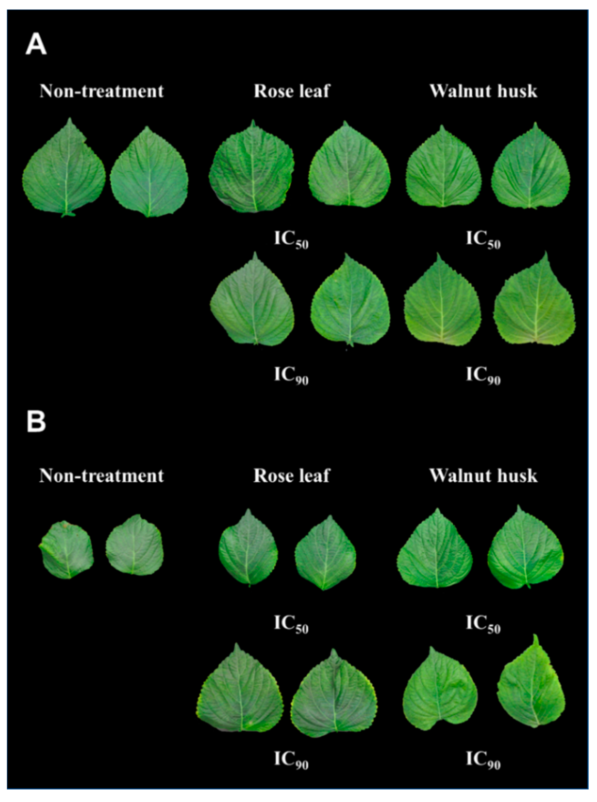 Agronomy 11 02350 g006
