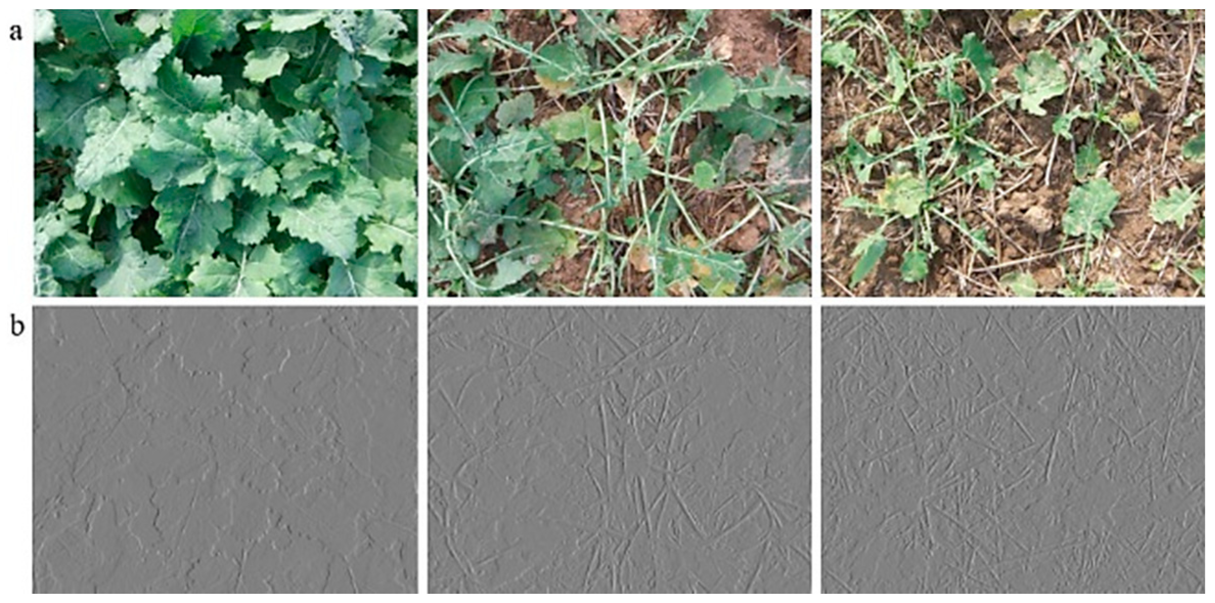 Agronomy 11 02364 g005 550