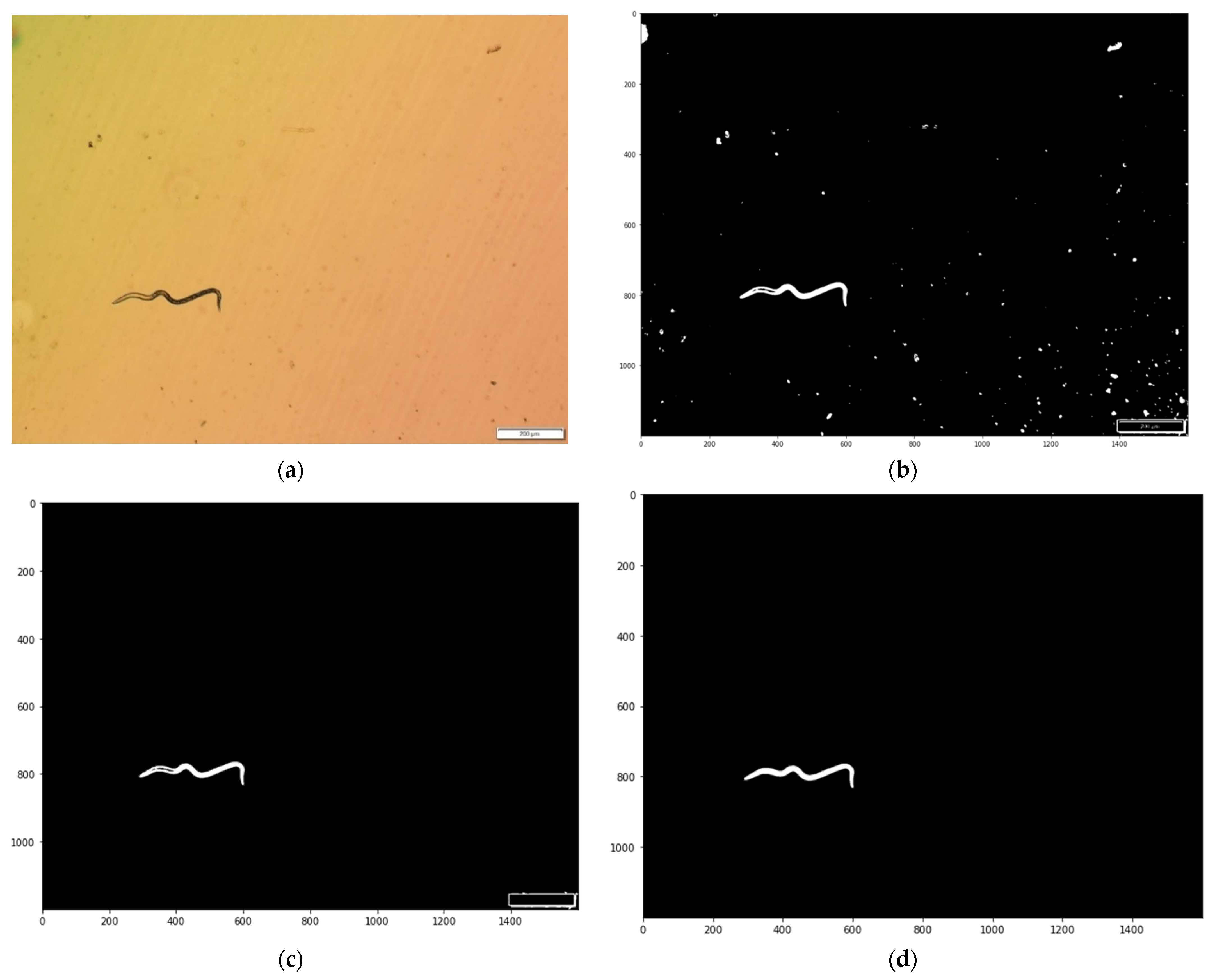 Agronomy 11 02372 g002