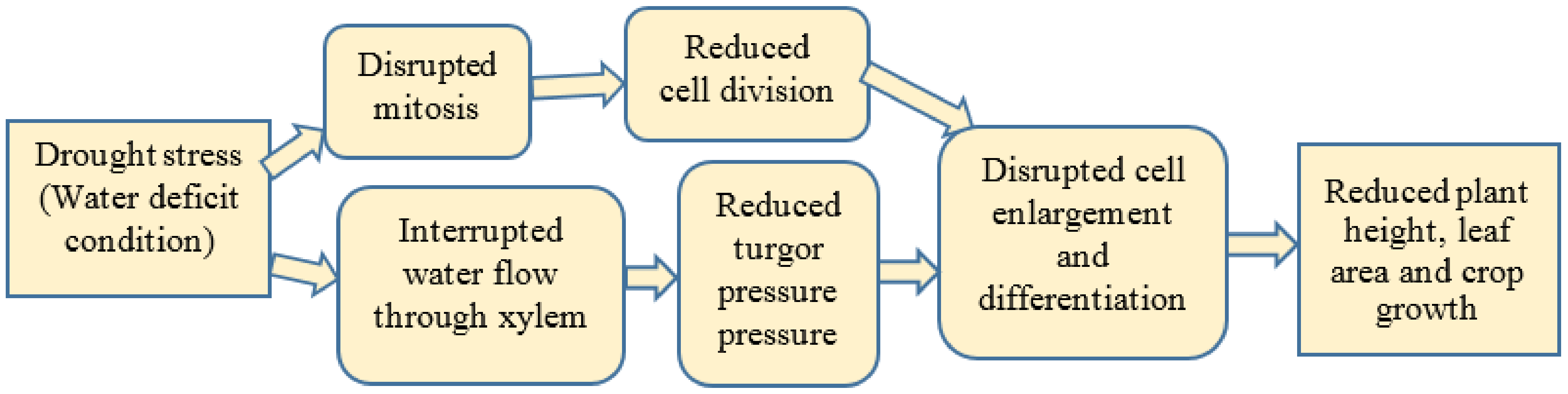 Agronomy 11 02374 g001 Agronomy 11 02374 g001