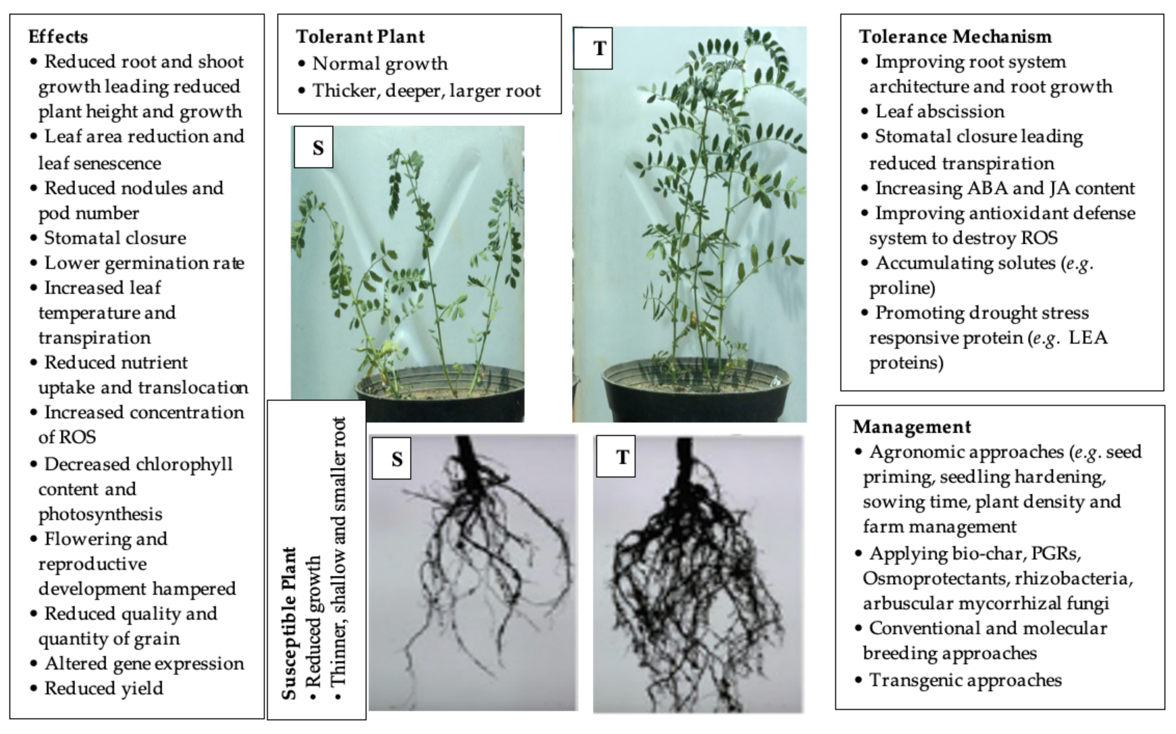 Agronomy 11 02374 g002 Agronomy 11 02374 g002