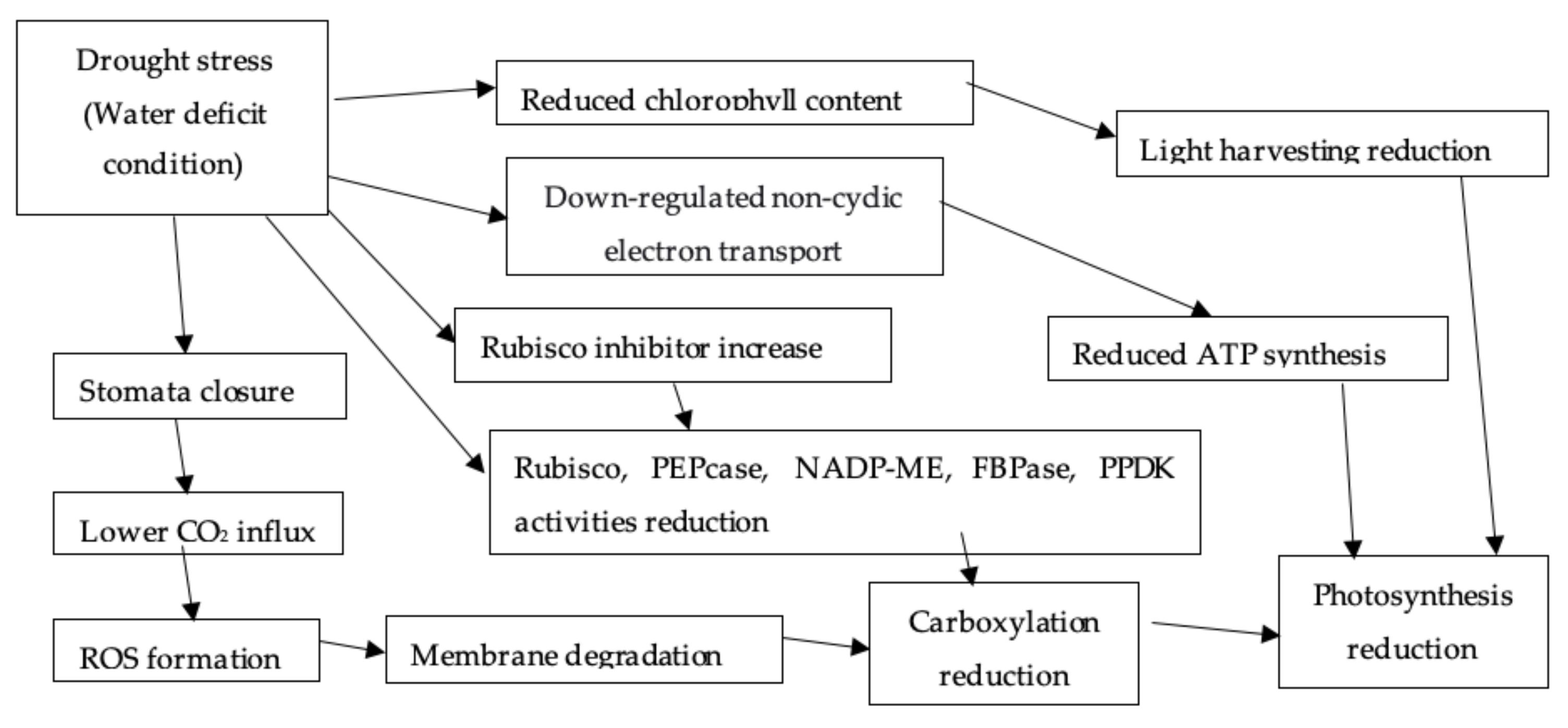 Agronomy 11 02374 g003 Agronomy 11 02374 g003