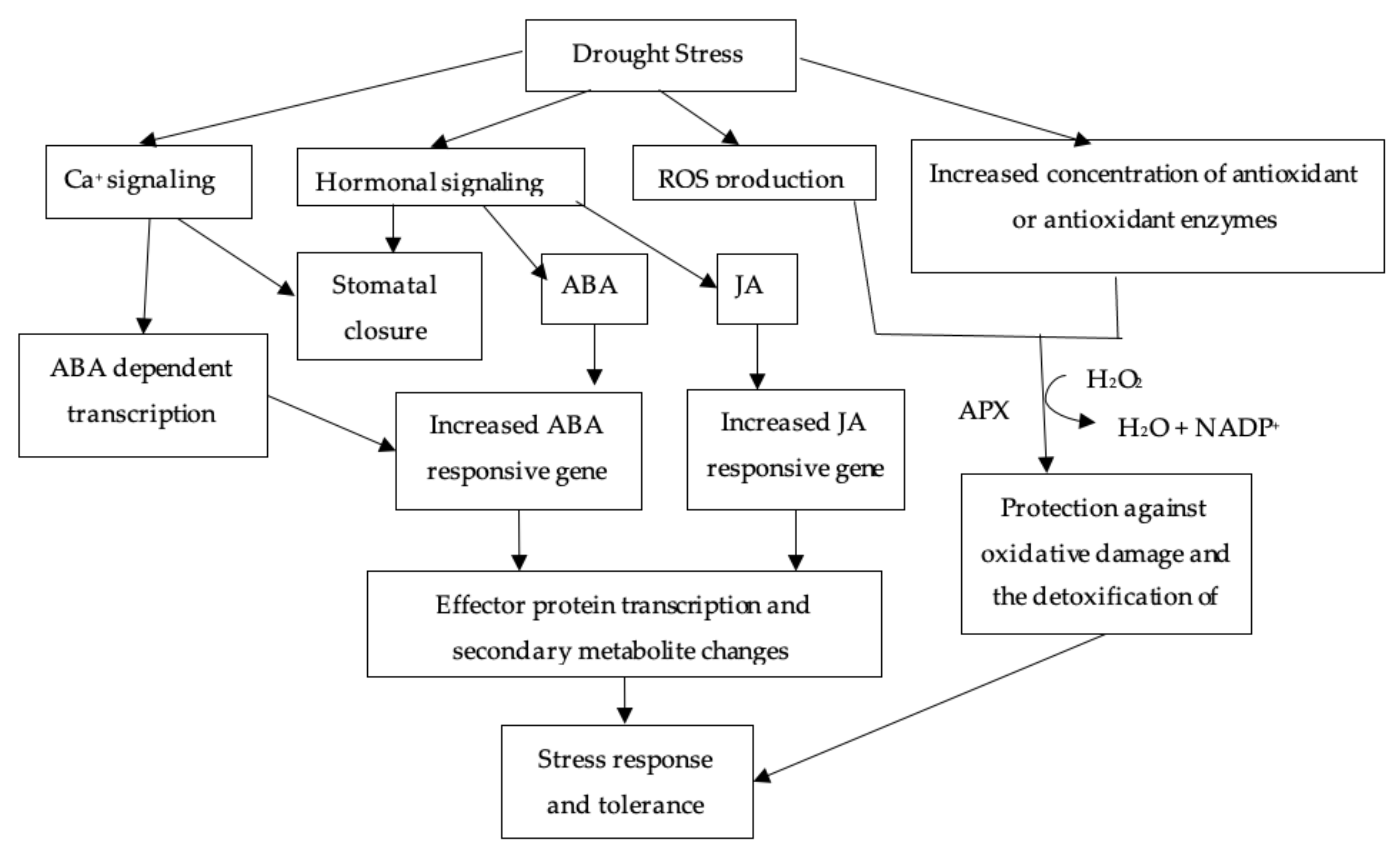 Agronomy 11 02374 g004 Agronomy 11 02374 g004