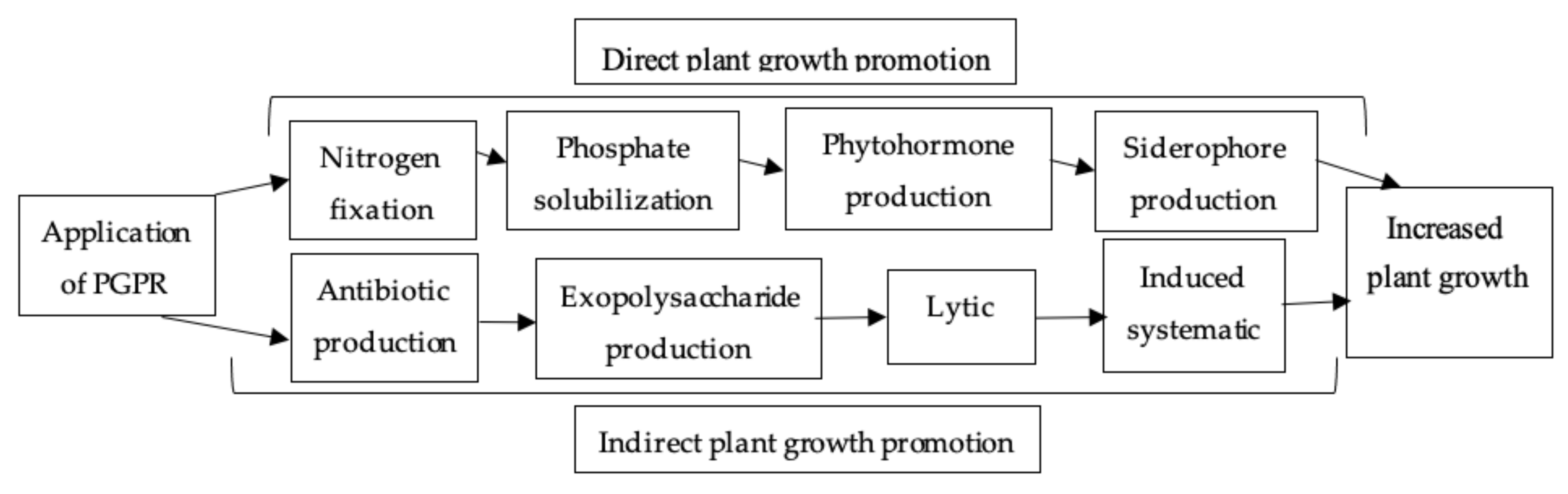 Agronomy 11 02374 g006 Agronomy 11 02374 g006
