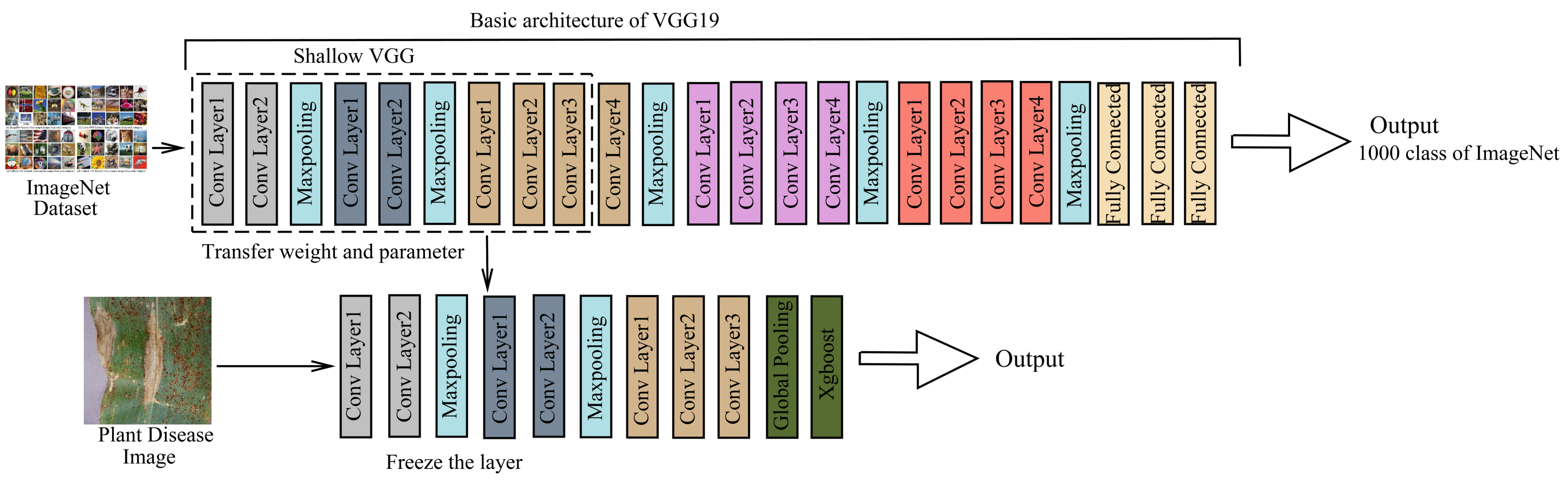 Agronomy 11 02388 g002