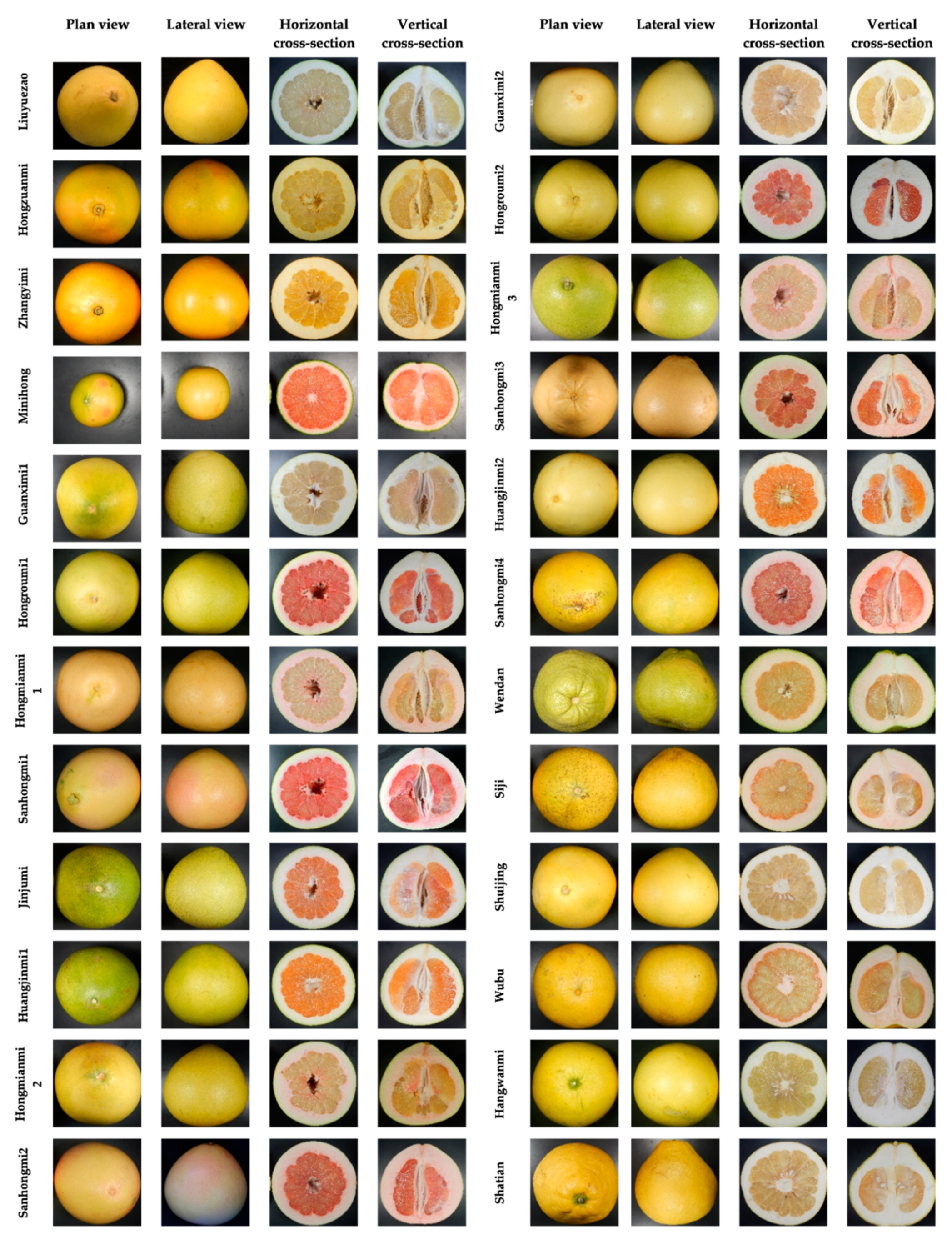 Agronomy 11 02393 g001