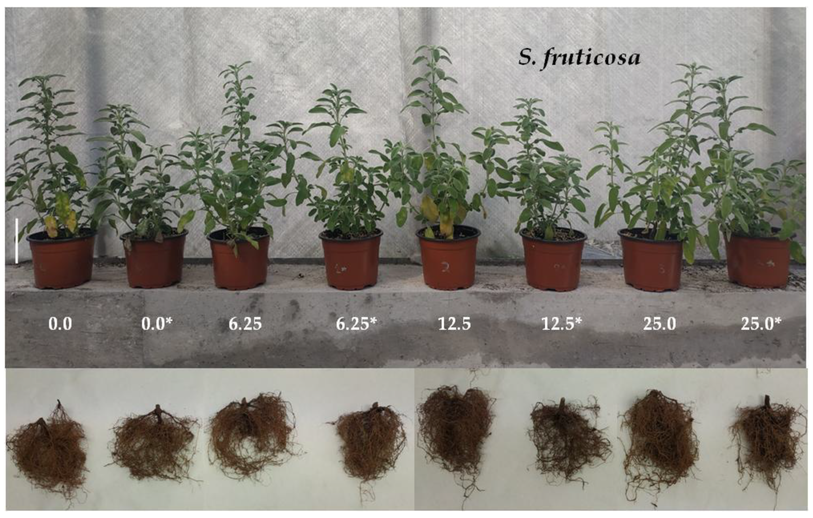 Agronomy 11 02401 g002 550