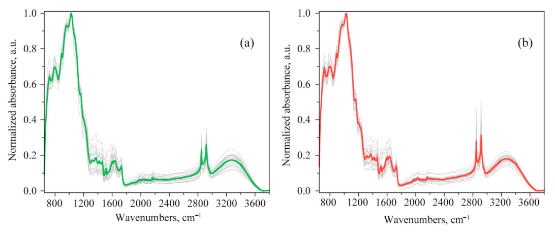 Agronomy 11 02402 g001